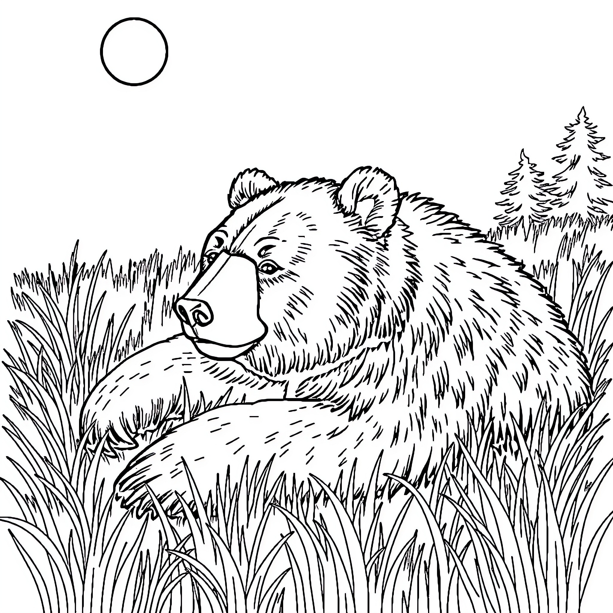 Bear relaxing in the peaceful wilderness Coloring Page (free black-and-white line drawing printable PDF for all, from beginners to advanced learners, including children, teens, adults, and seniors)