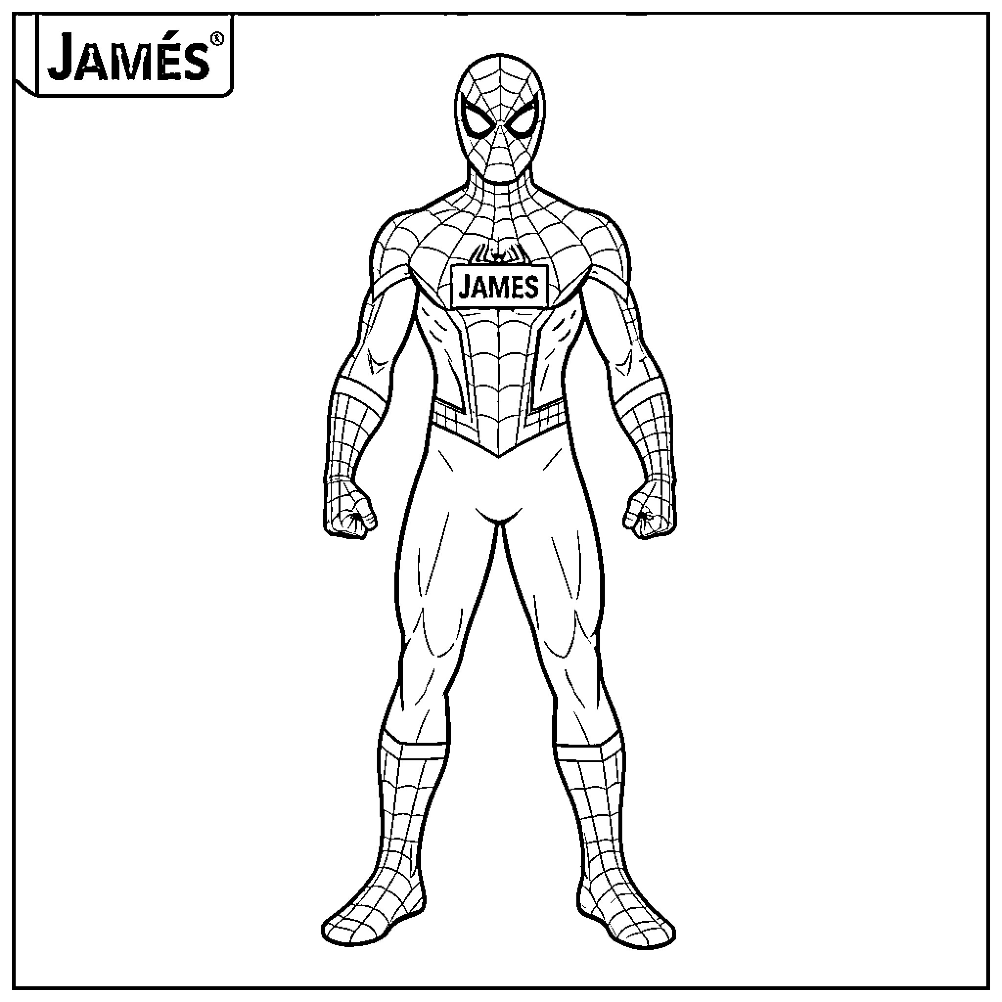 Spiderman standing in a heroic pose Coloring Page (free black-and-white line drawing printable PDF for all, from beginners to advanced learners, including children, teens, adults, and seniors)