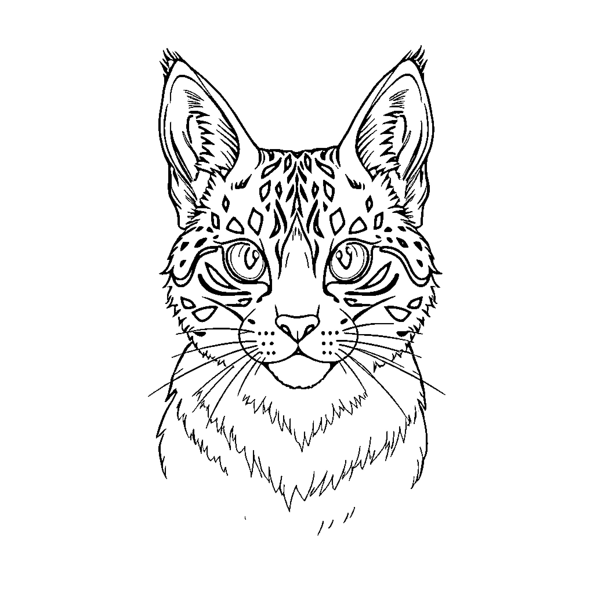 Kuromi cat with intricate facial features Coloring Page (free black-and-white line drawing printable PDF for all, from beginners to advanced learners, including children, teens, adults, and seniors)