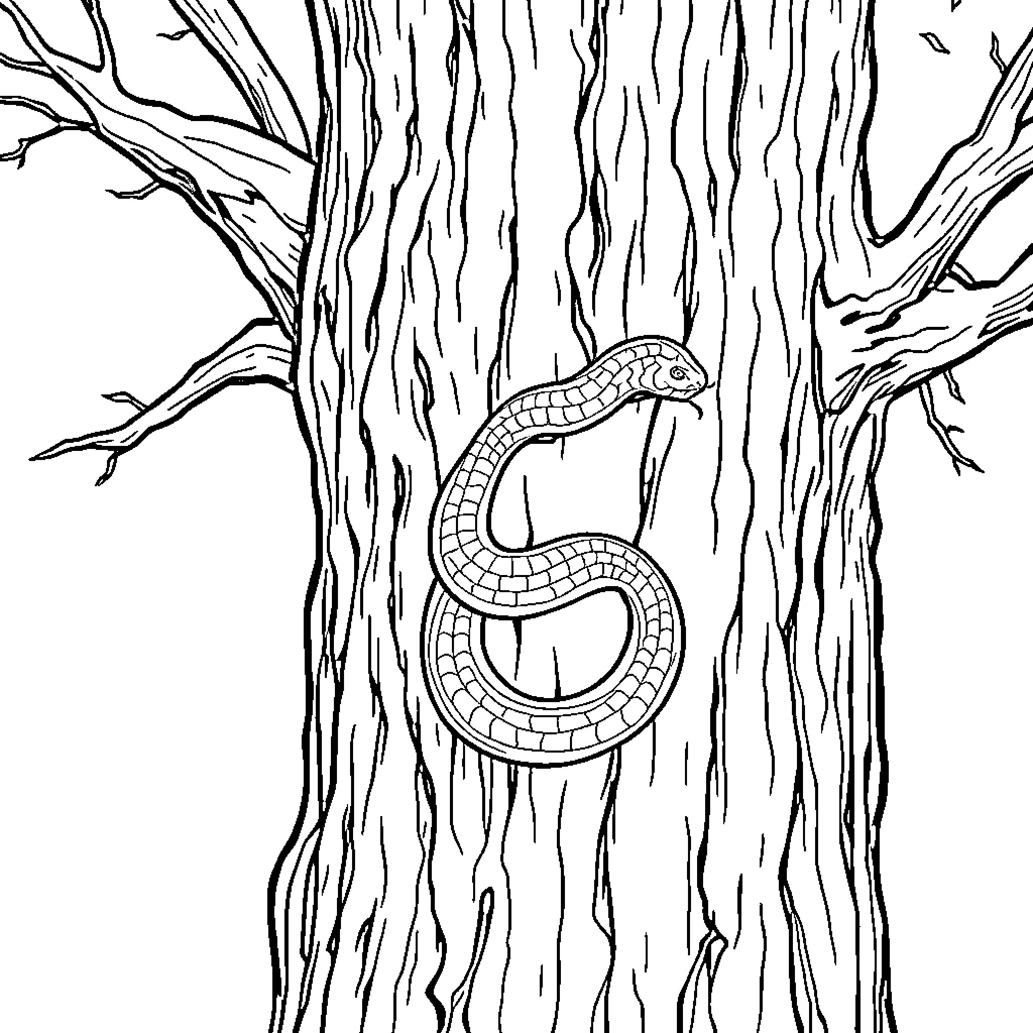 Snake slithering on the tree trunk Coloring Page (free black-and-white line drawing printable PDF for all, from beginners to advanced learners, including children, teens, adults, and seniors)
