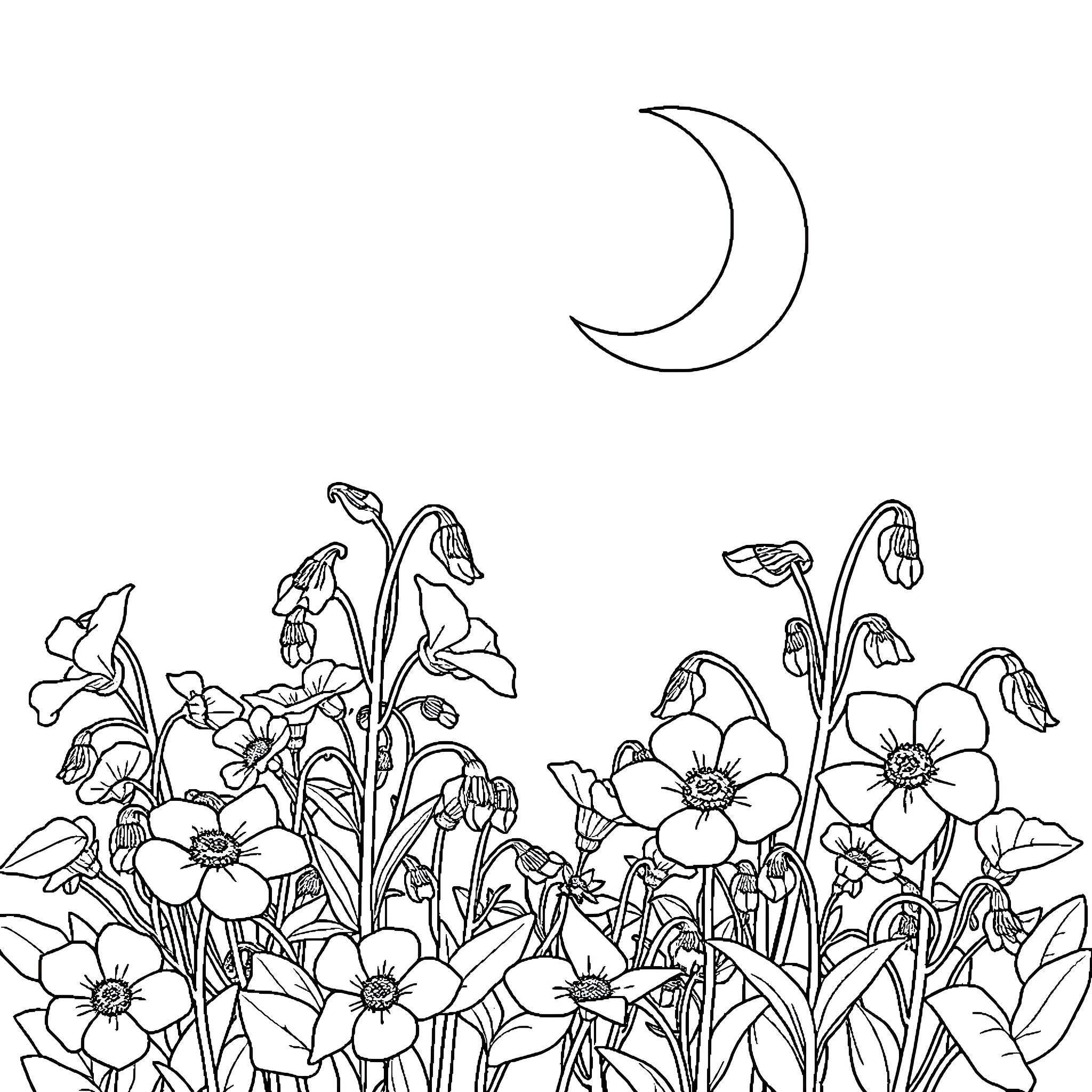 Moon over the Blooming Night Garden Coloring Page (free black-and-white line drawing printable PDF for all, from beginners to advanced learners, including children, teens, adults, and seniors)