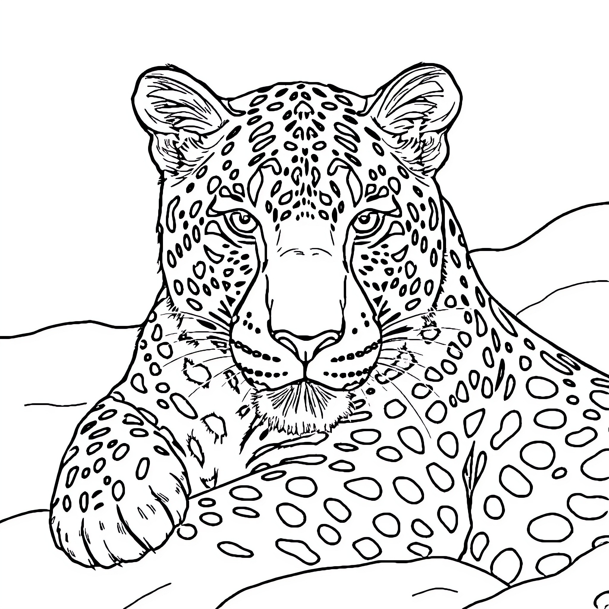Snow Leopard resting in the wilderness Coloring Page (free black-and-white line drawing printable PDF for all, from beginners to advanced learners, including children, teens, adults, and seniors)
