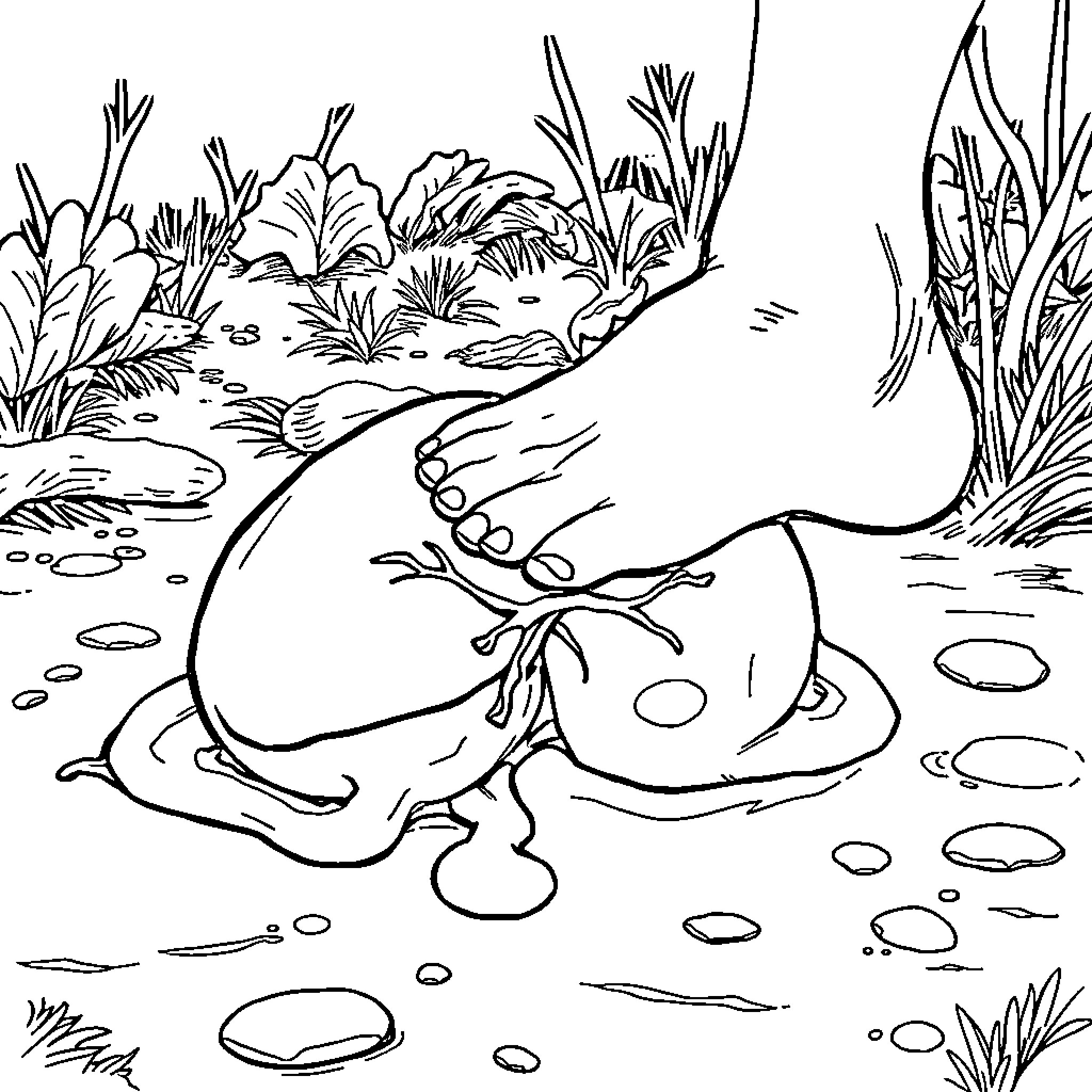 Spleen exploring the natural landscape Coloring Page (free black-and-white line drawing printable PDF for all, from beginners to advanced learners, including children, teens, adults, and seniors)