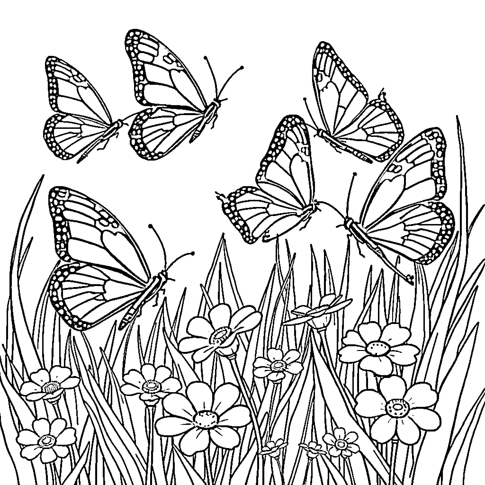 Butterflies dancing among flowers in the meadow Coloring Page (free black-and-white line drawing printable PDF for all, from beginners to advanced learners, including children, teens, adults, and seniors)