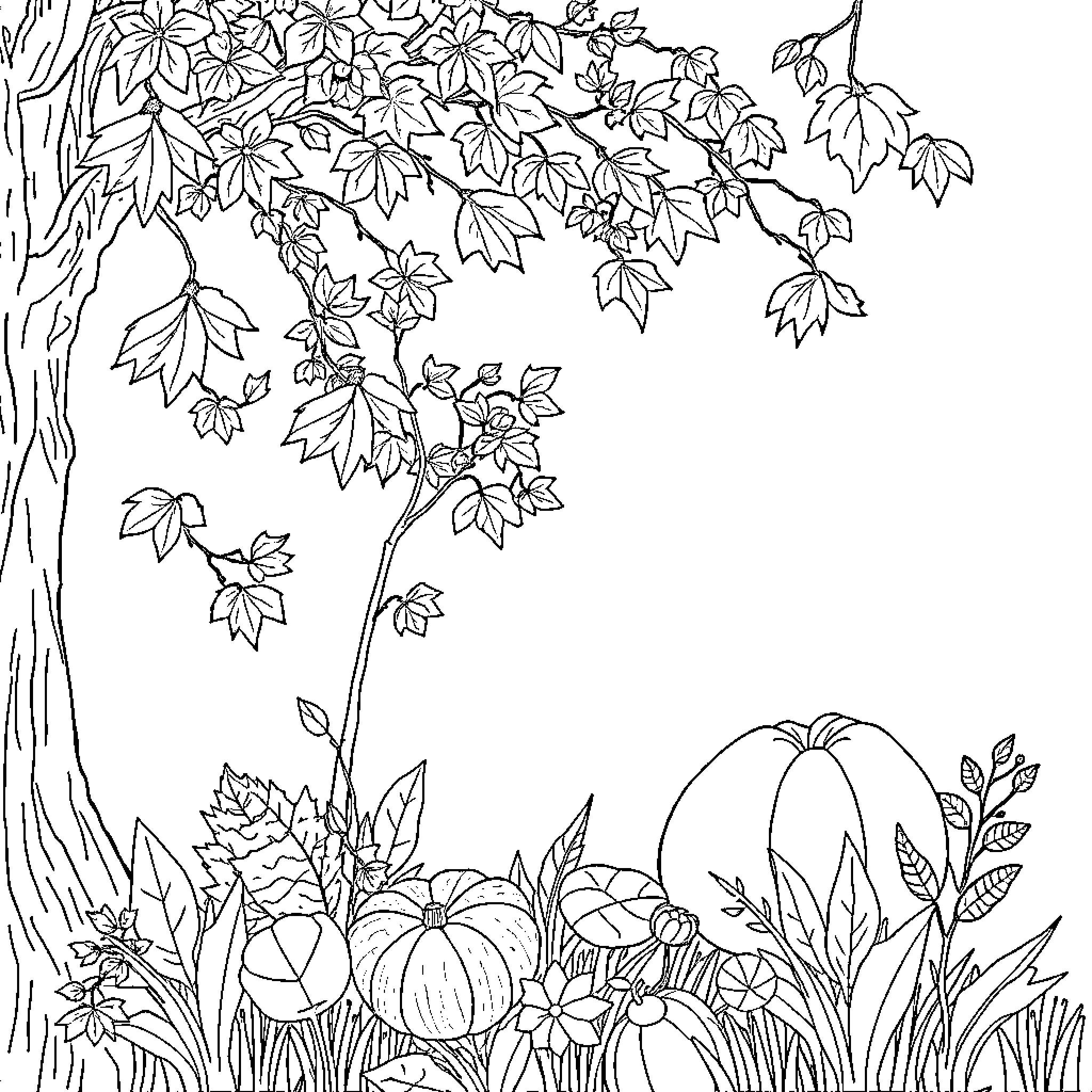 Fall Foliage and Pumpkins in the Garden Coloring Page (free black-and-white line drawing printable PDF for all, from beginners to advanced learners, including children, teens, adults, and seniors)