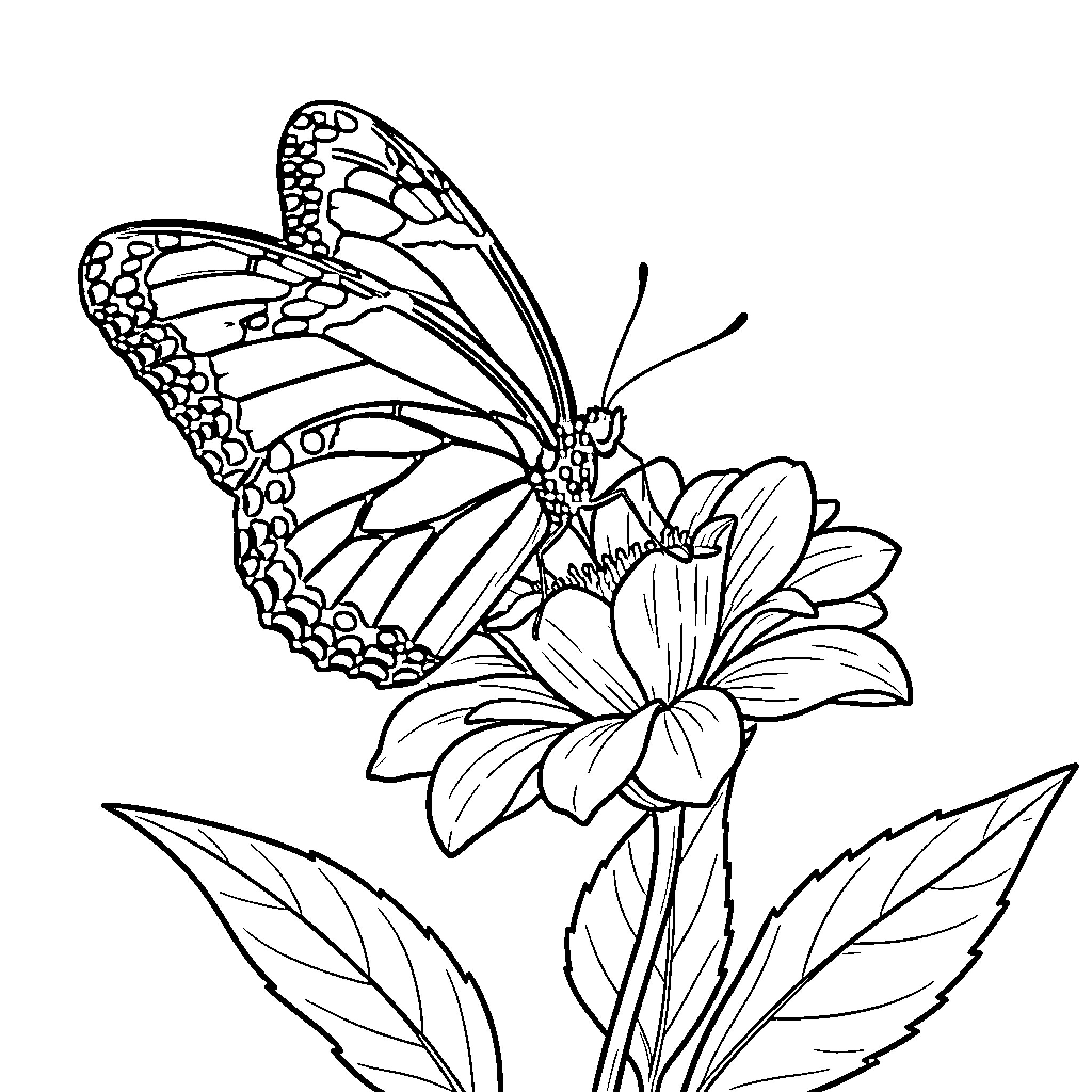 Butterfly resting on a blooming flower Coloring Page (free black-and-white line drawing printable PDF for all, from beginners to advanced learners, including children, teens, adults, and seniors)