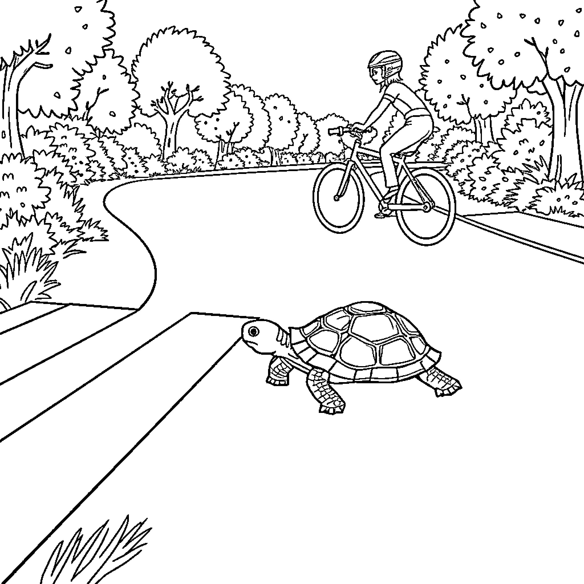 Turtle crossing the road with a bicyclist Coloring Page (free black-and-white line drawing printable PDF for all, from beginners to advanced learners, including children, teens, adults, and seniors)