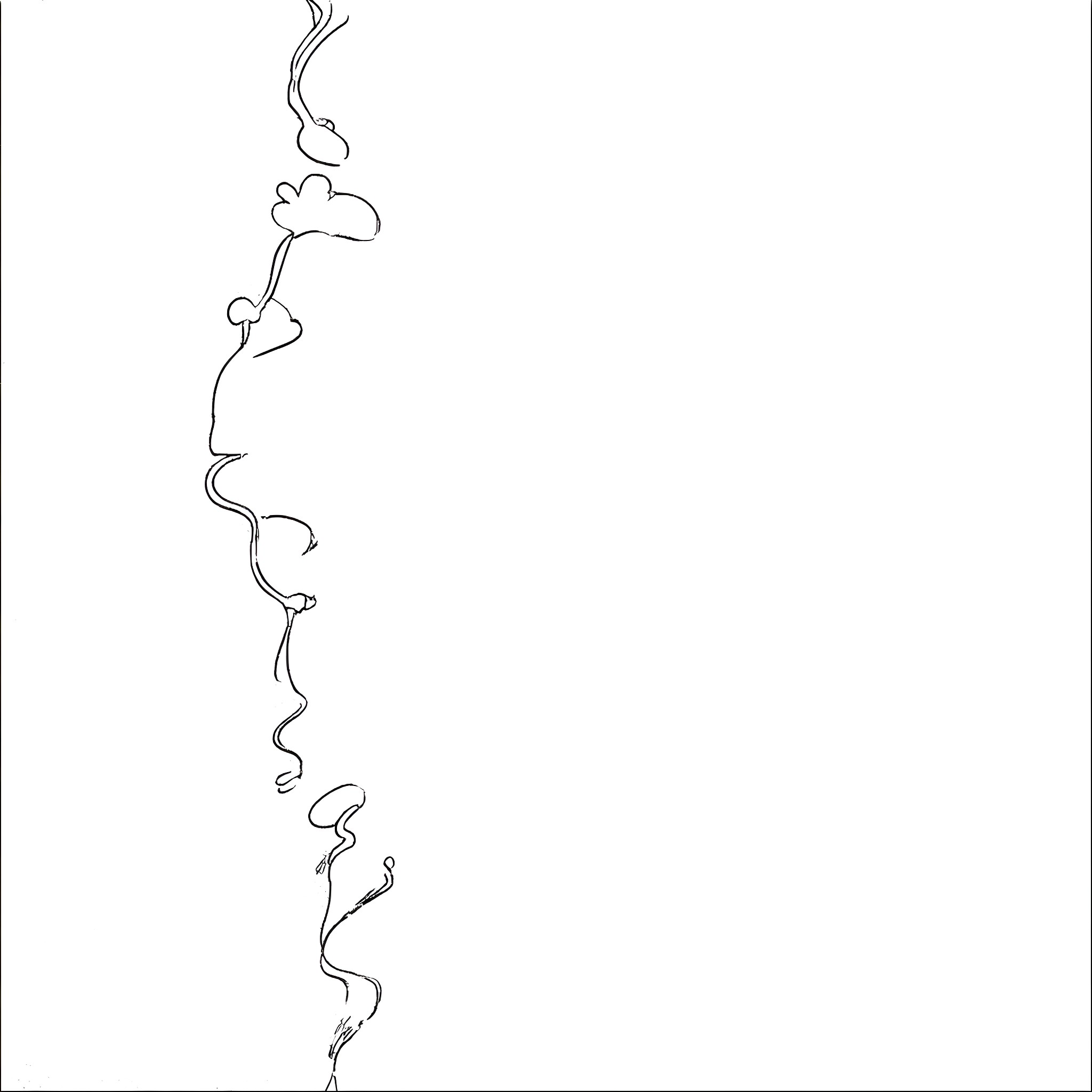 Aerial Wispy Clouds in Monochrome Coloring Page (free black-and-white line drawing printable PDF for all, from beginners to advanced learners, including children, teens, adults, and seniors)