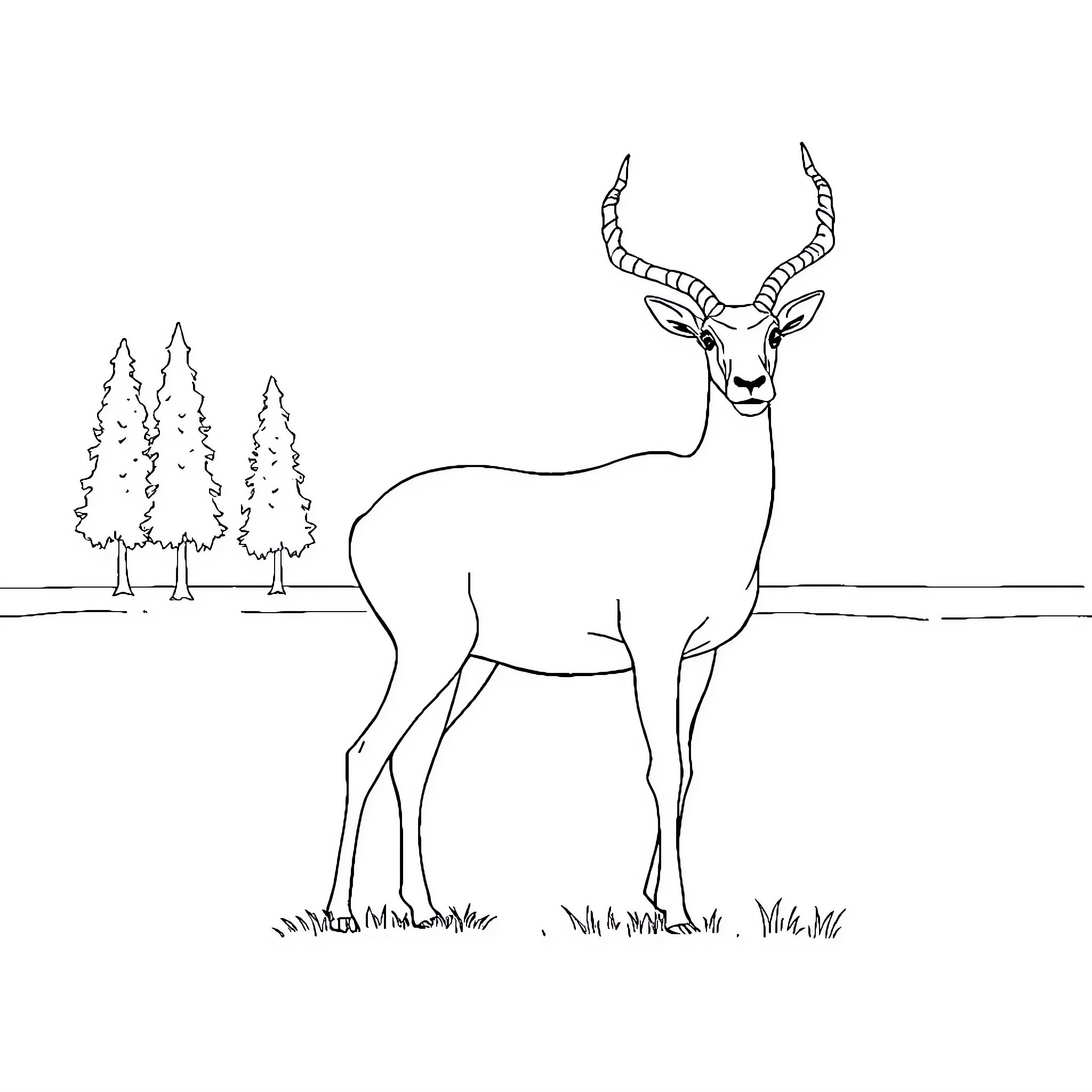 Saiga Antelope standing in natural habitat Coloring Page (free black-and-white line drawing printable PDF for all, from beginners to advanced learners, including children, teens, adults, and seniors)