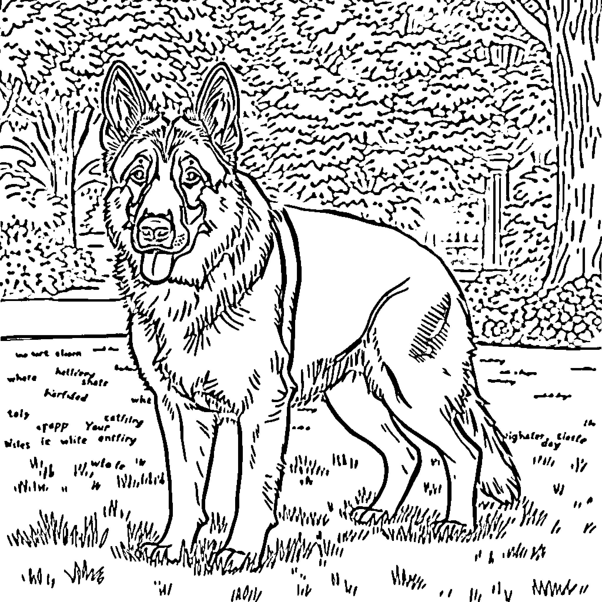 German Shepherd in the Wilderness Coloring Page (free black-and-white line drawing printable PDF for all, from beginners to advanced learners, including children, teens, adults, and seniors)