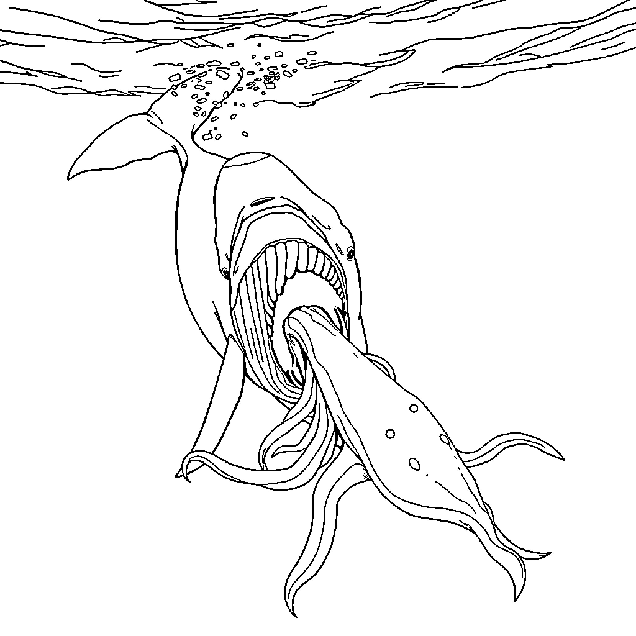Sperm Whale swimming aggressively underwater Coloring Page (free black-and-white line drawing printable PDF for all, from beginners to advanced learners, including children, teens, adults, and seniors)