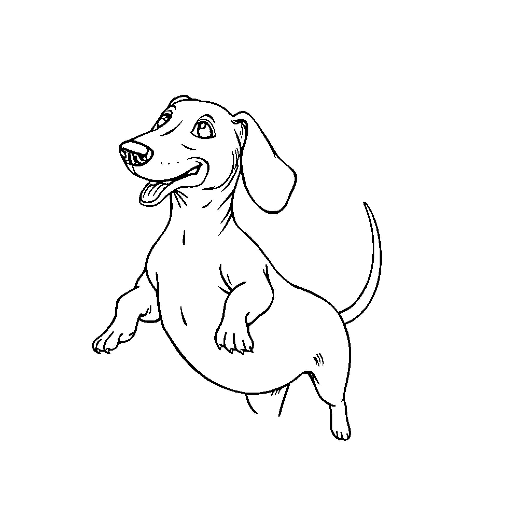 Dachshund dog happily running and playing Coloring Page (free black-and-white line drawing printable PDF for all, from beginners to advanced learners, including children, teens, adults, and seniors)