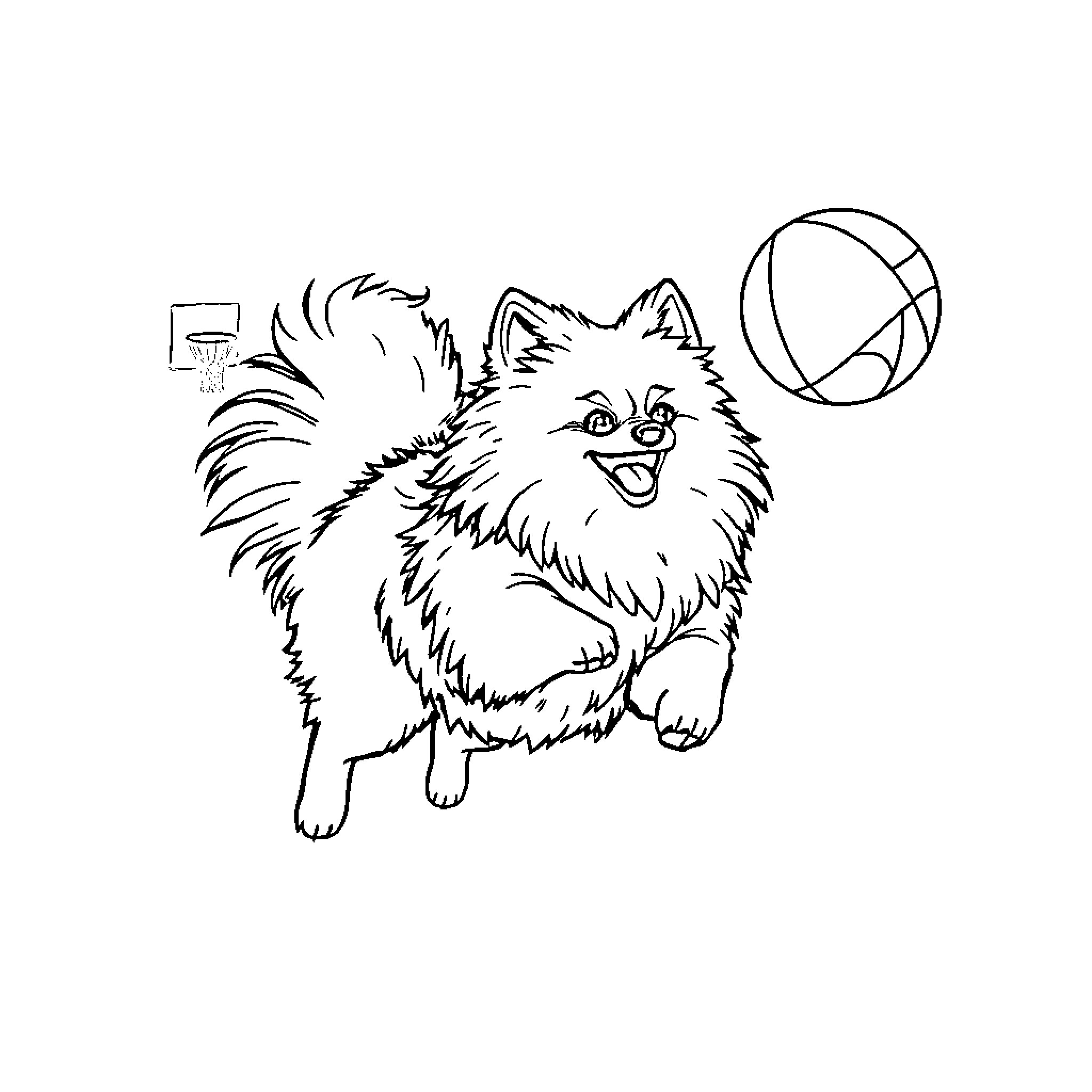 Pomchi playing cheerfully with a ball Coloring Page (free black-and-white line drawing printable PDF for all, from beginners to advanced learners, including children, teens, adults, and seniors)