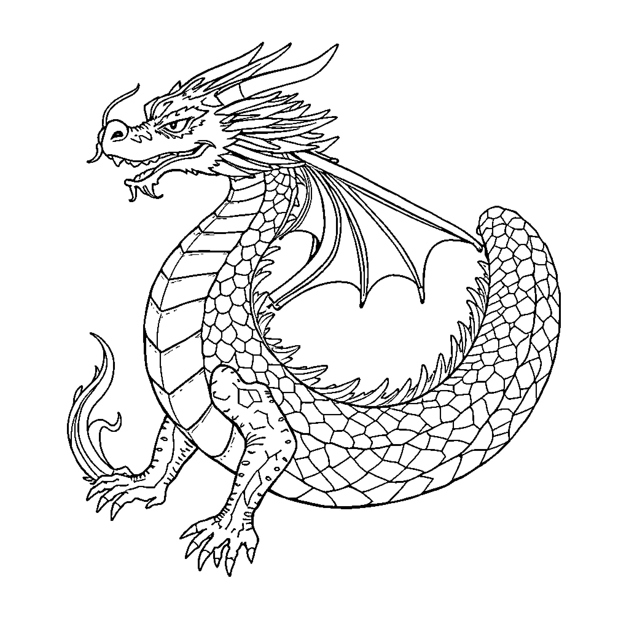 Dragon unleashing its fierce power Coloring Page (free black-and-white line drawing printable PDF for all, from beginners to advanced learners, including children, teens, adults, and seniors)