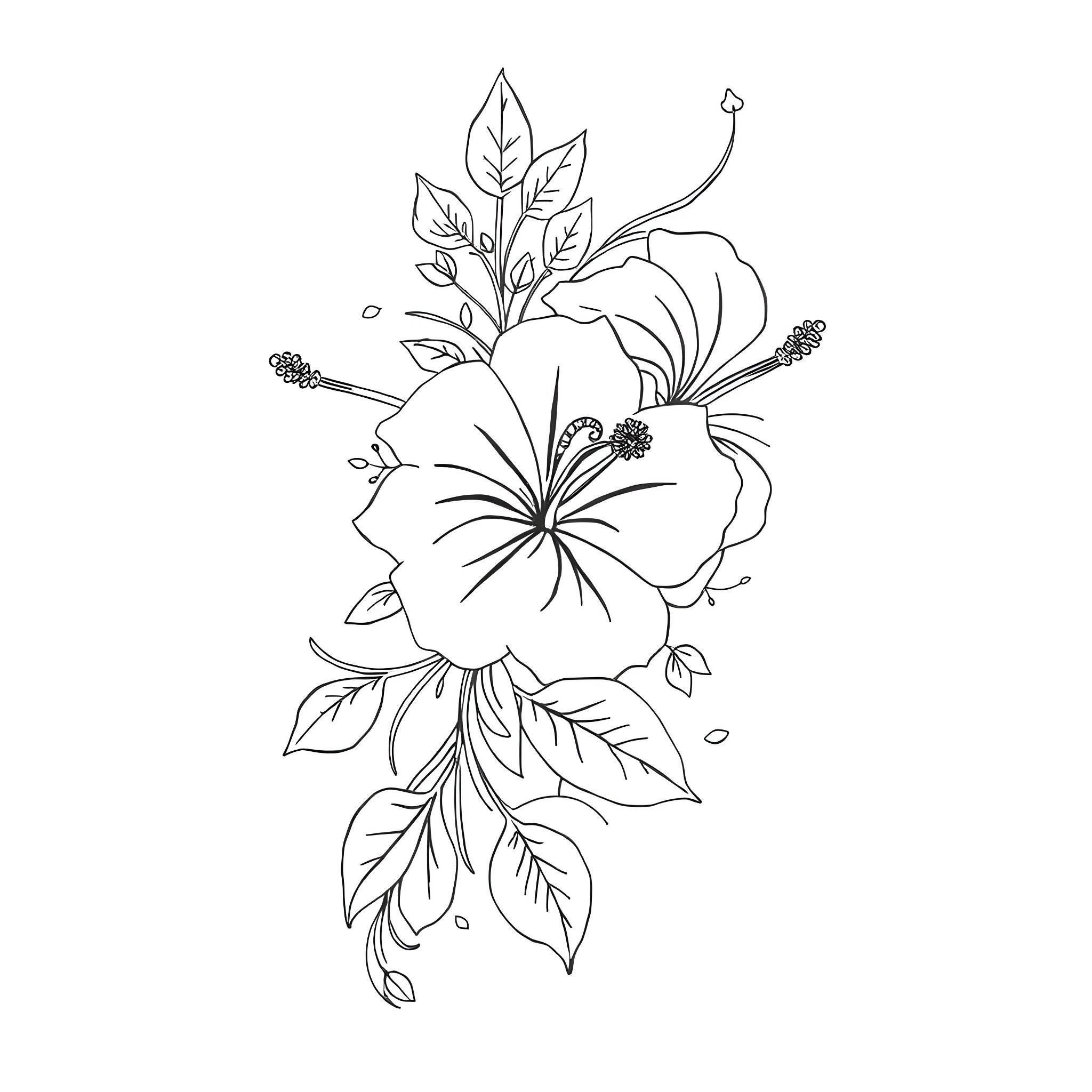 Hibiscus flowers in detailed line art Coloring Page (free black-and-white line drawing printable PDF for all, from beginners to advanced learners, including children, teens, adults, and seniors)