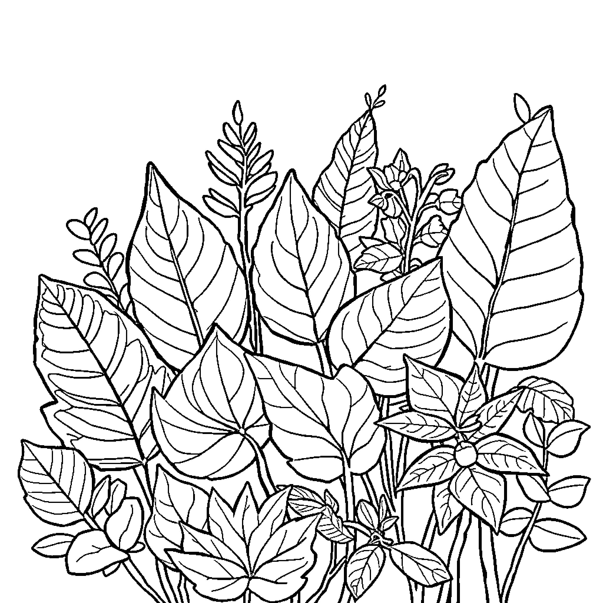Leaf Nature Scene with Assorted Foliage Coloring Page (free black-and-white line drawing printable PDF for all, from beginners to advanced learners, including children, teens, adults, and seniors)