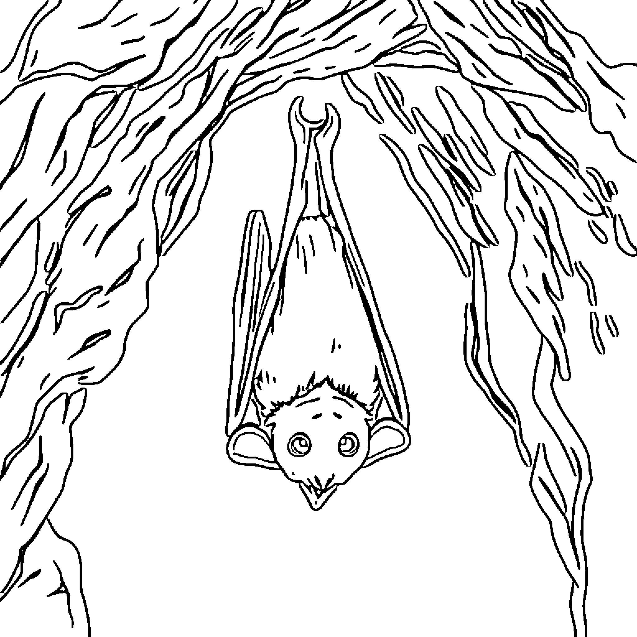 Bat hanging upside down in a cave Coloring Page (free black-and-white line drawing printable PDF for all, from beginners to advanced learners, including children, teens, adults, and seniors)