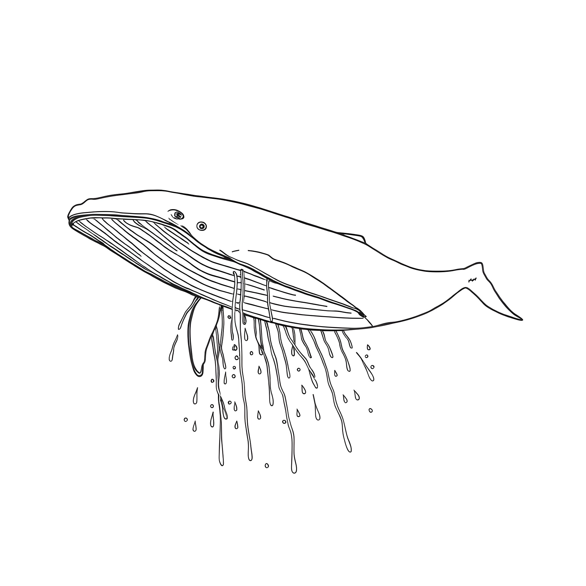 Whale spraying water from its blowhole Coloring Page (free black-and-white line drawing printable PDF for all, from beginners to advanced learners, including children, teens, adults, and seniors)