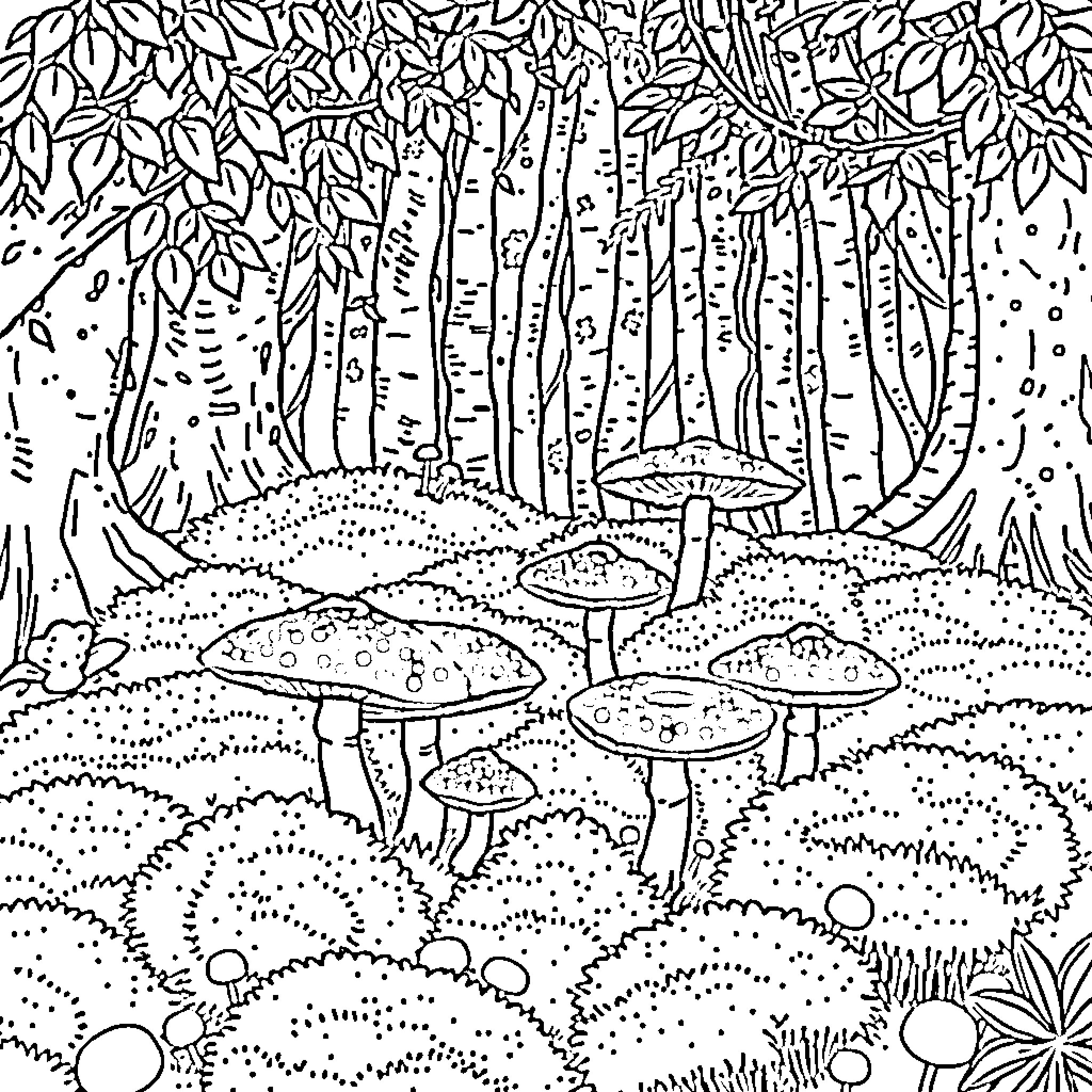 Amanita Muscaria: Enchanted Forest Mushroom Gathering Coloring Page (free black-and-white line drawing printable PDF for all, from beginners to advanced learners, including children, teens, adults, and seniors)