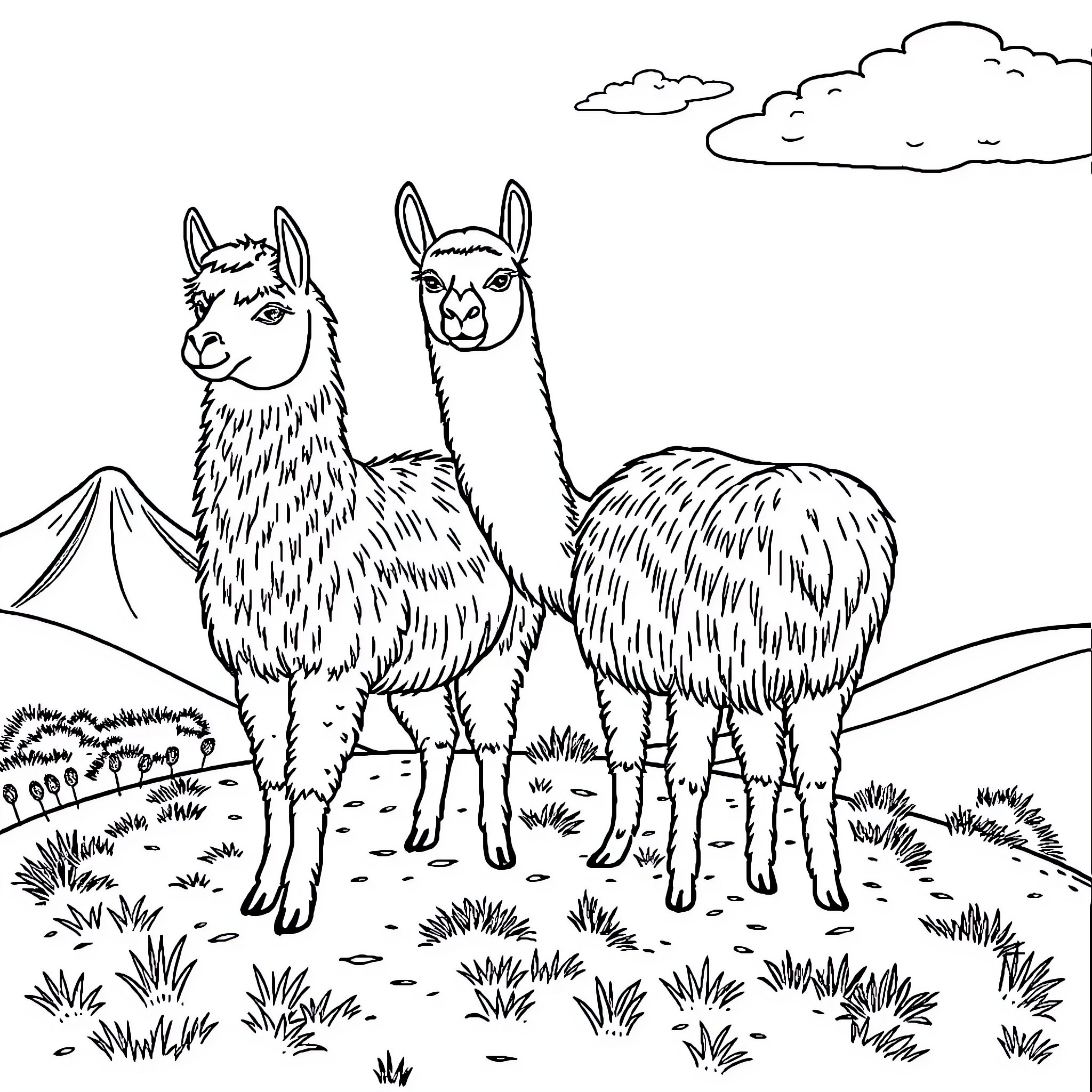 Llamas standing proudly in a mountain landscape Coloring Page (free black-and-white line drawing printable PDF for all, from beginners to advanced learners, including children, teens, adults, and seniors)