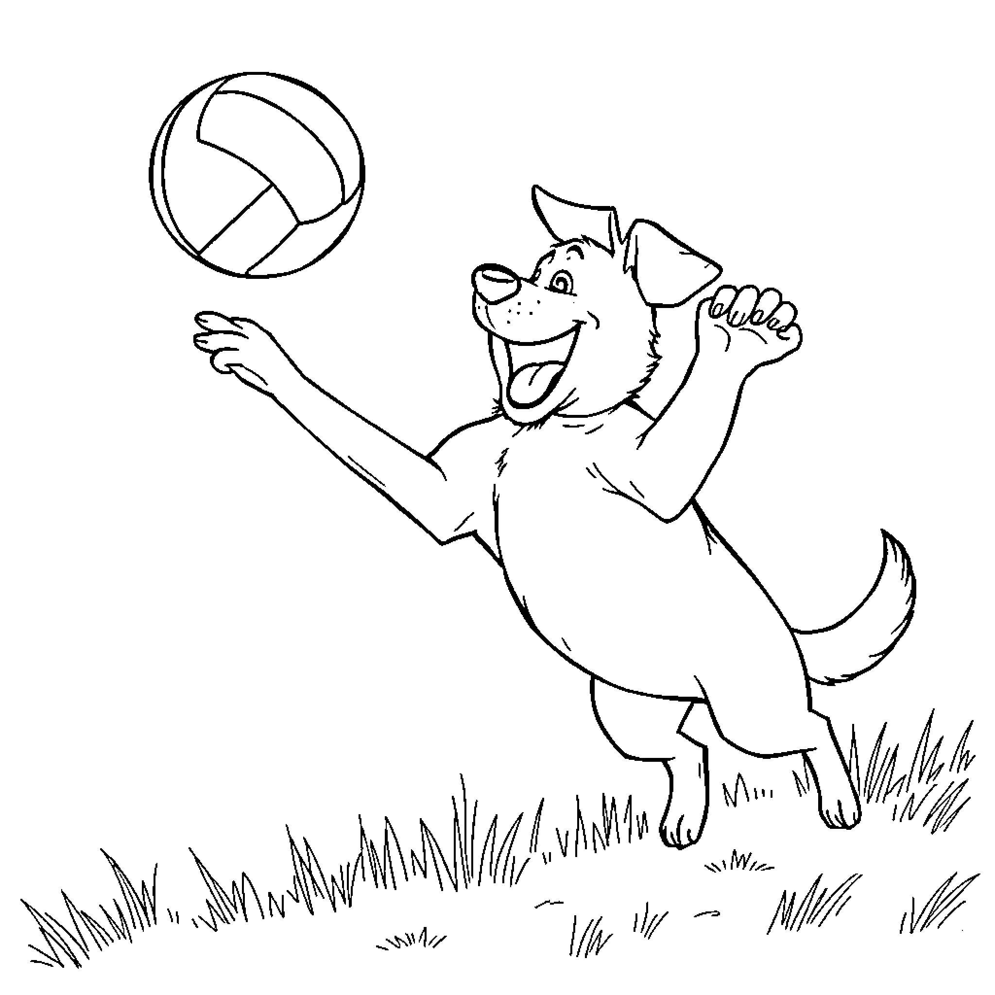 Dog playfully chasing a volleyball in the park Coloring Page (free black-and-white line drawing printable PDF for all, from beginners to advanced learners, including children, teens, adults, and seniors)