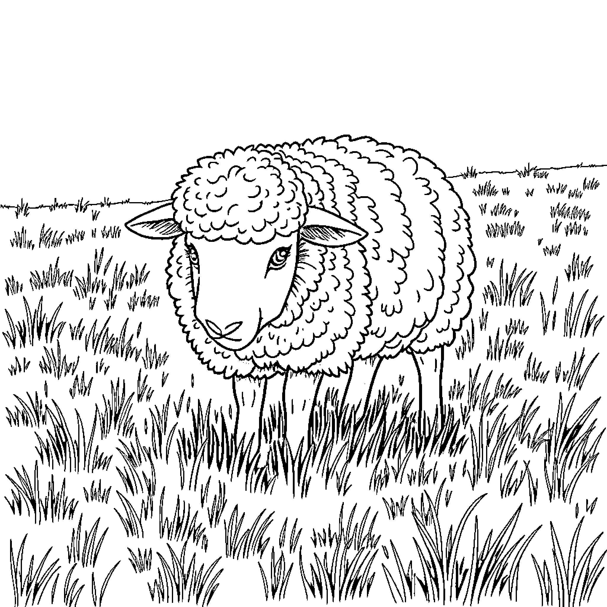 Sheep resting peacefully in the meadow Coloring Page (free black-and-white line drawing printable PDF for all, from beginners to advanced learners, including children, teens, adults, and seniors)