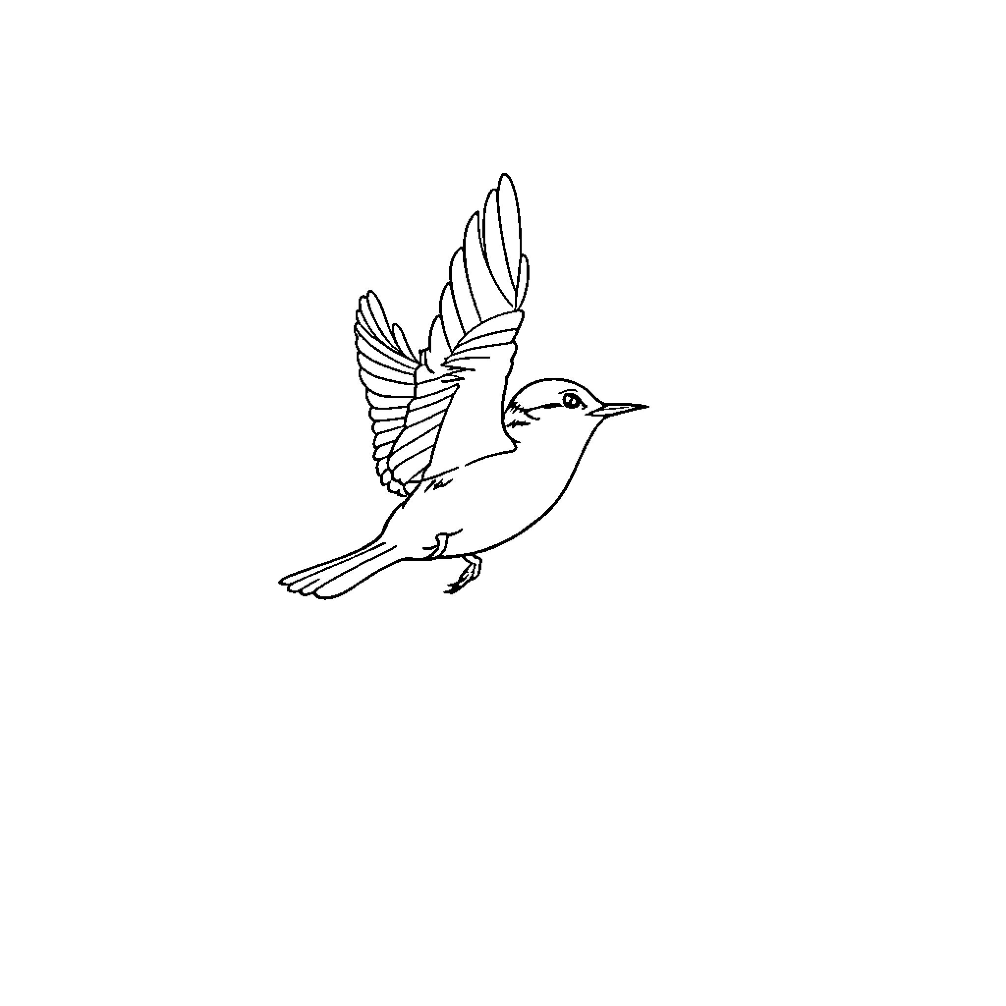 Bird in flight Coloring Page (free black-and-white line drawing printable PDF for all, from beginners to advanced learners, including children, teens, adults, and seniors)
