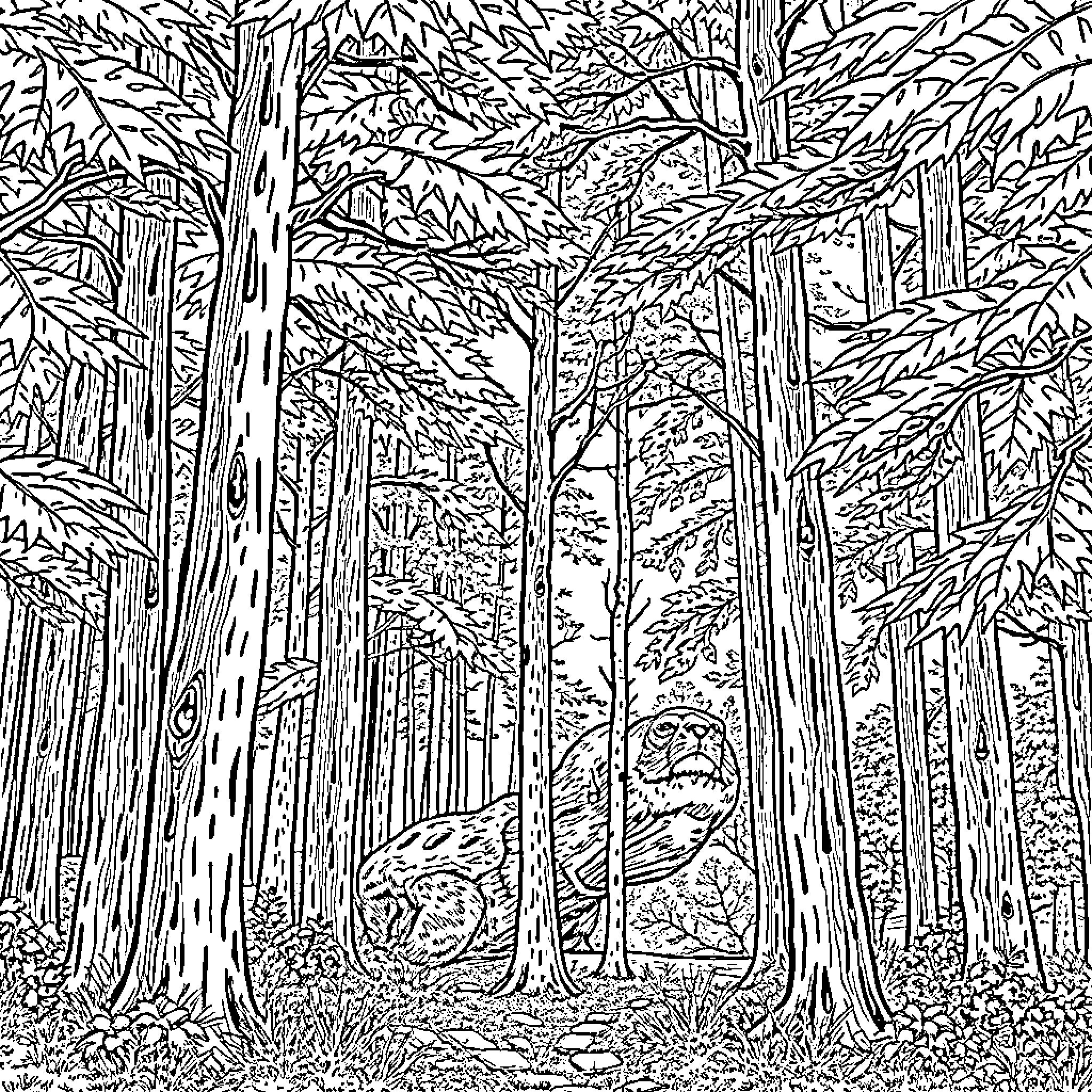 Forest with Intricate Tree Branches and Foliage Coloring Page (free black-and-white line drawing printable PDF for all, from beginners to advanced learners, including children, teens, adults, and seniors)