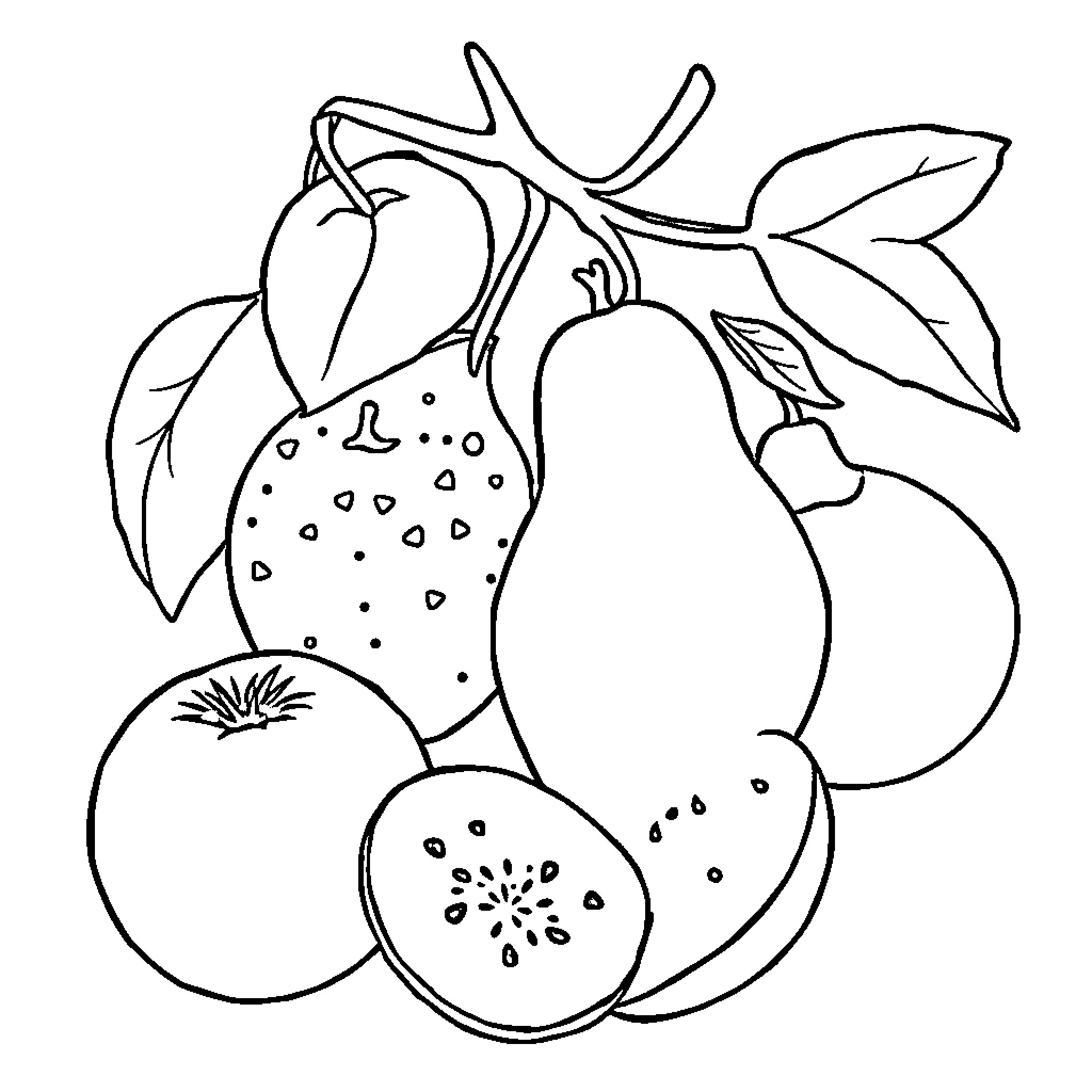 Fruit basket with assorted produce Coloring Page (free black-and-white line drawing printable PDF for all, from beginners to advanced learners, including children, teens, adults, and seniors)