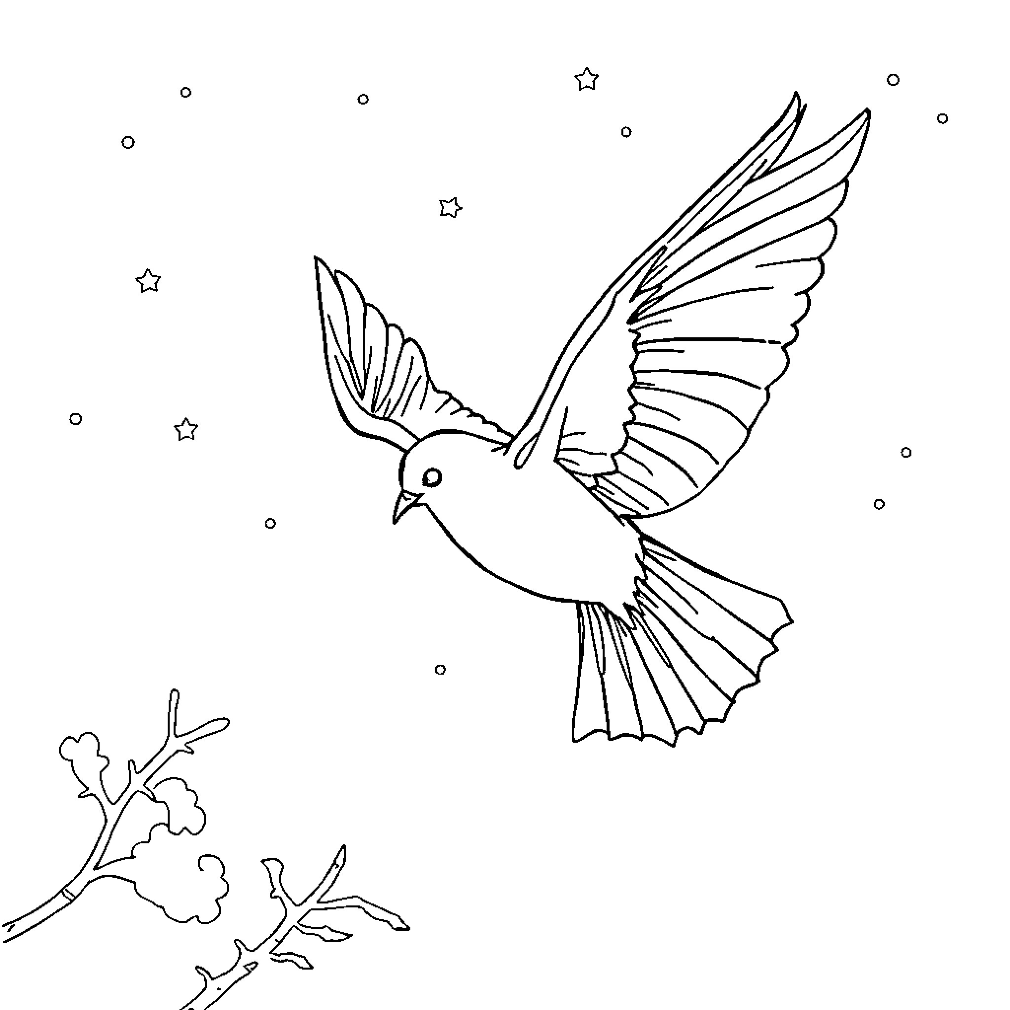 Bat-like bird flying in starry night sky Coloring Page (free black-and-white line drawing printable PDF for all, from beginners to advanced learners, including children, teens, adults, and seniors)