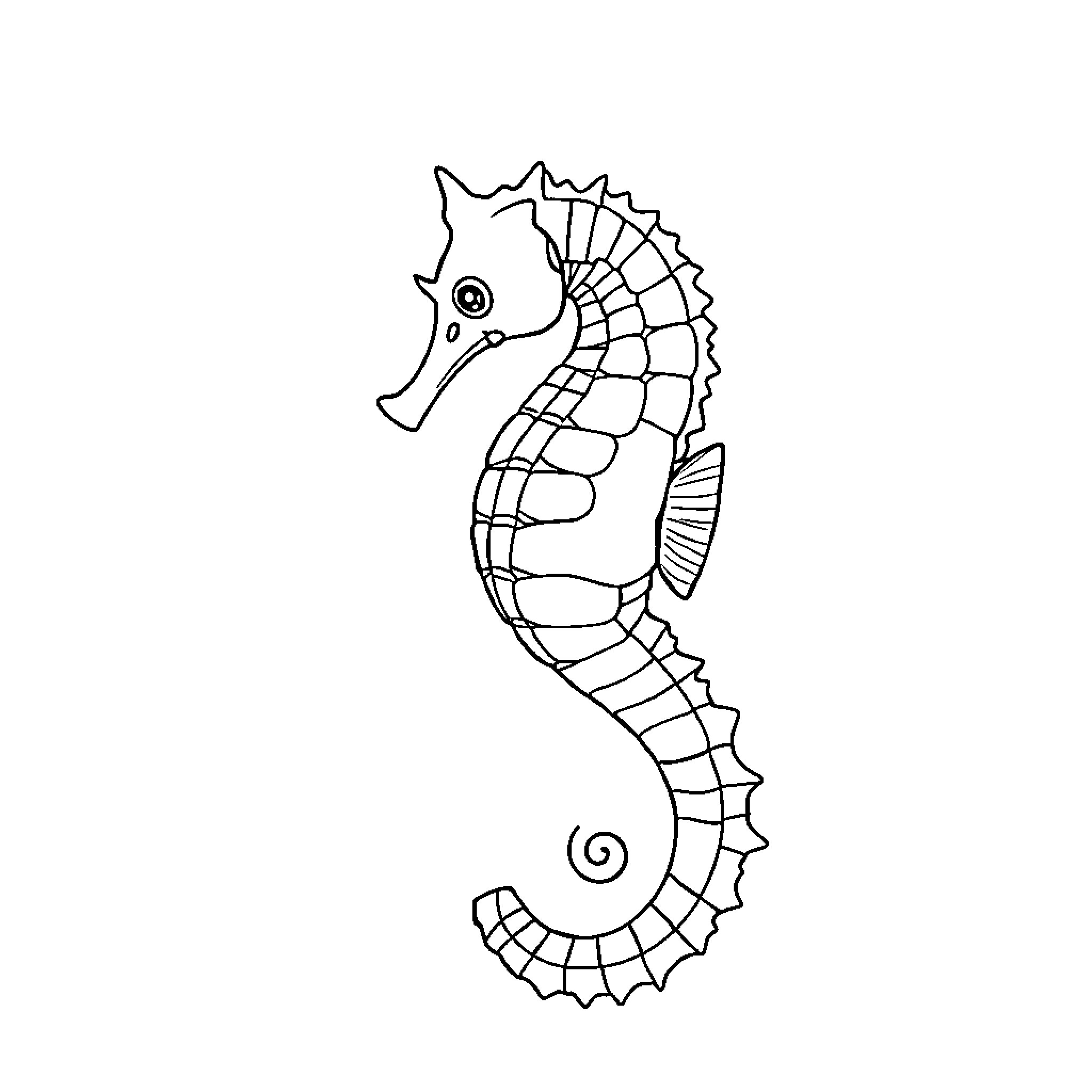 Seahorse swimming gracefully Coloring Page (free black-and-white line drawing printable PDF for all, from beginners to advanced learners, including children, teens, adults, and seniors)