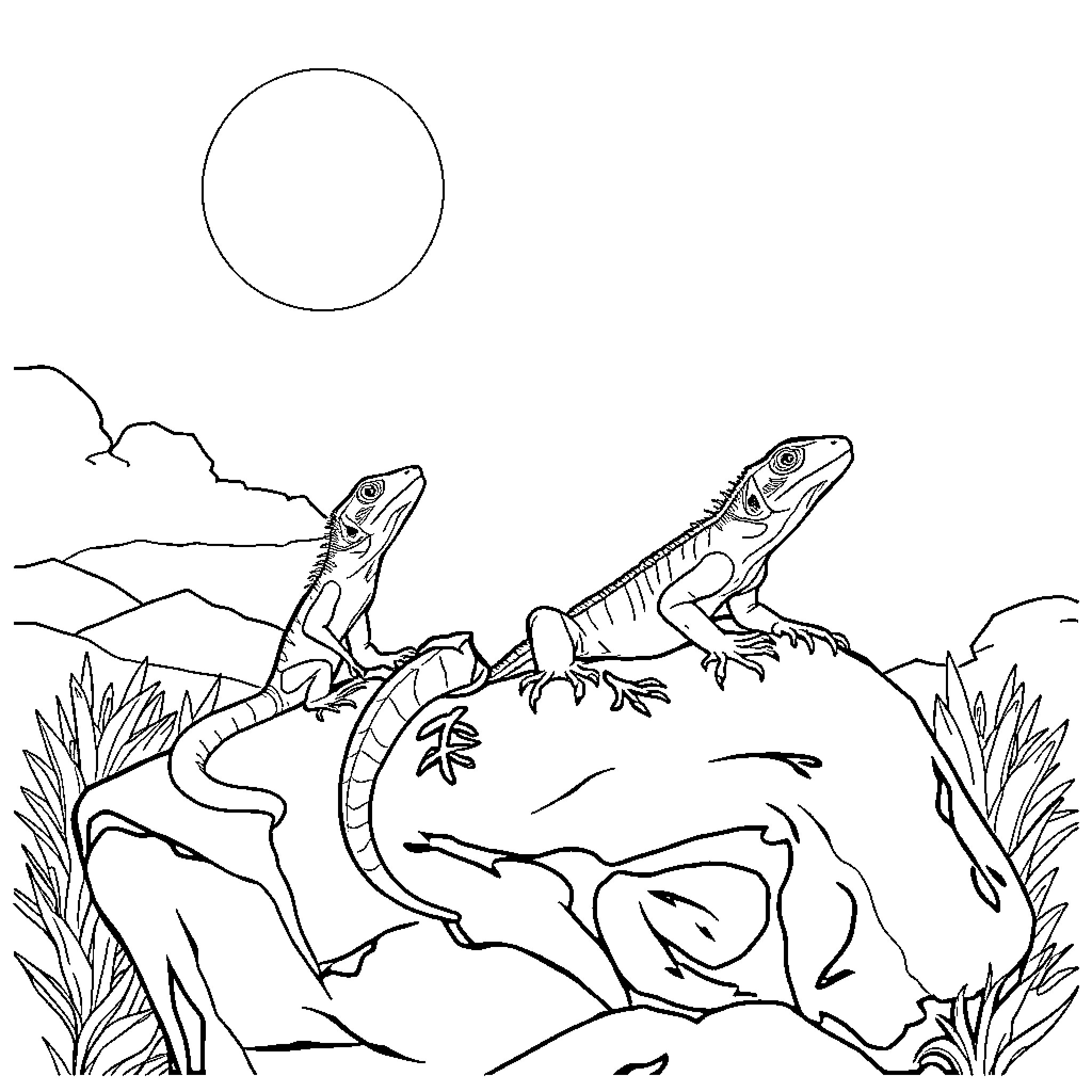 Lizard resting on rocks in natural setting Coloring Page (free black-and-white line drawing printable PDF for all, from beginners to advanced learners, including children, teens, adults, and seniors)