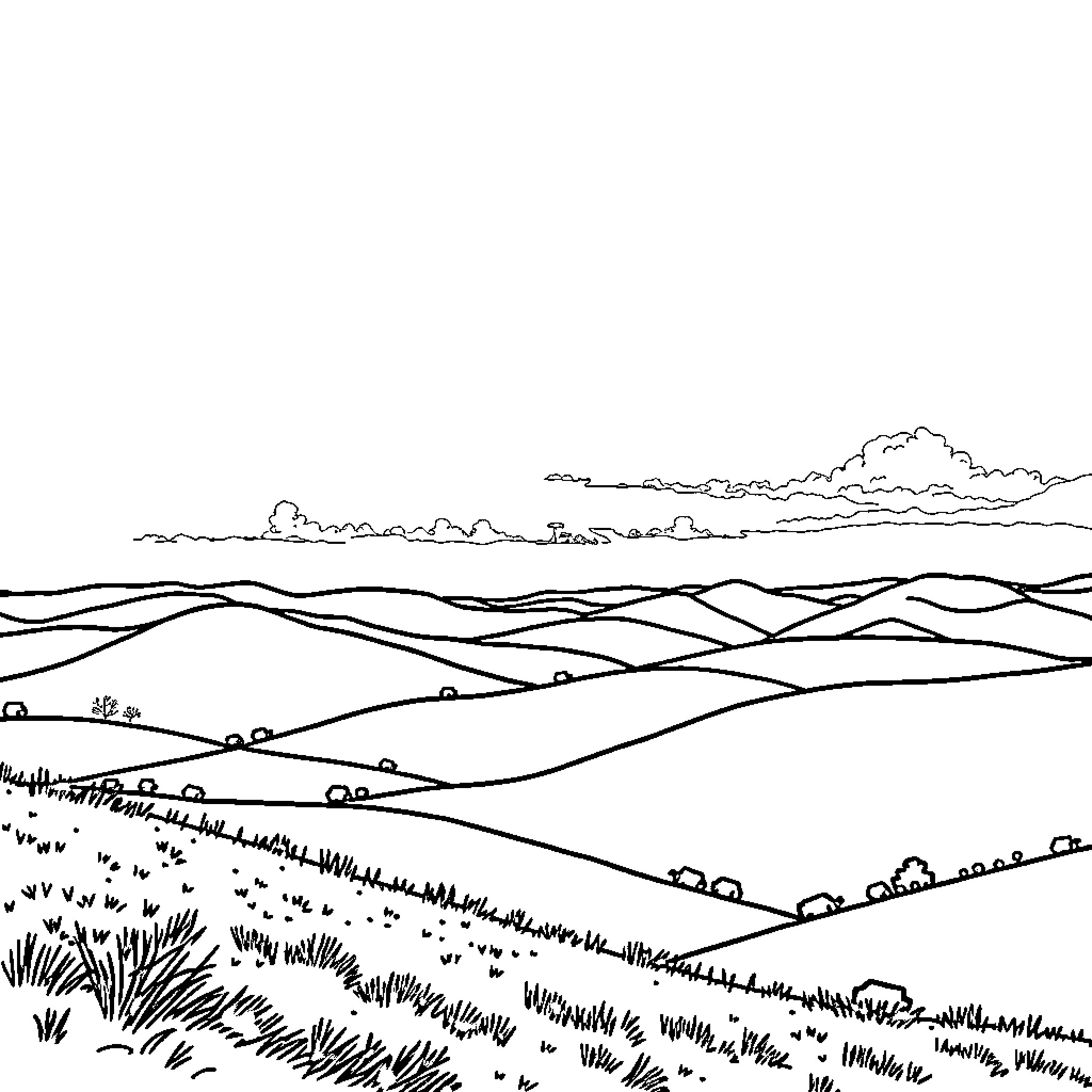 Landscape with rolling hills and cloudy skies Coloring Page (free black-and-white line drawing printable PDF for all, from beginners to advanced learners, including children, teens, adults, and seniors)
