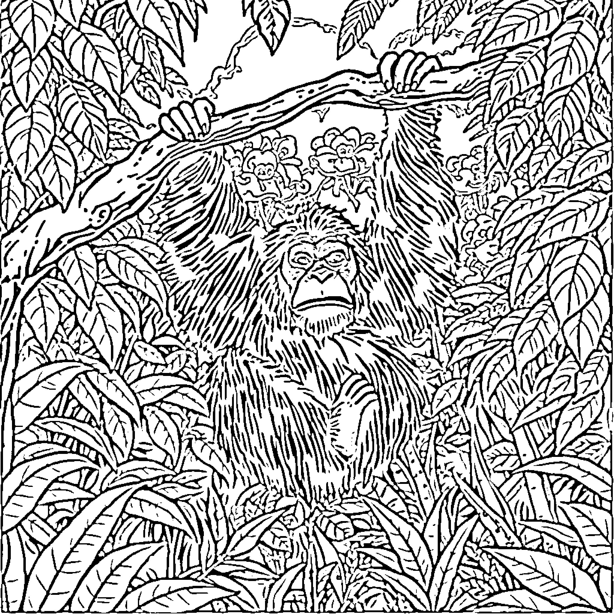 Orangutan hidden in the dense jungle foliage Coloring Page (free black-and-white line drawing printable PDF for all, from beginners to advanced learners, including children, teens, adults, and seniors)