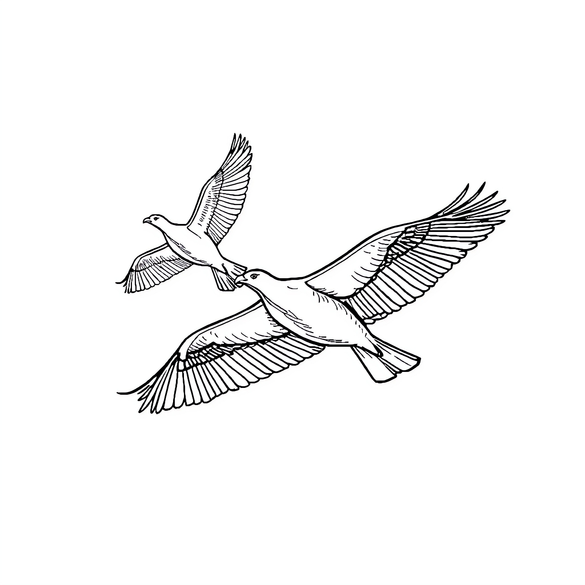 Birds soaring gracefully through the sky Coloring Page (free black-and-white line drawing printable PDF for all, from beginners to advanced learners, including children, teens, adults, and seniors)
