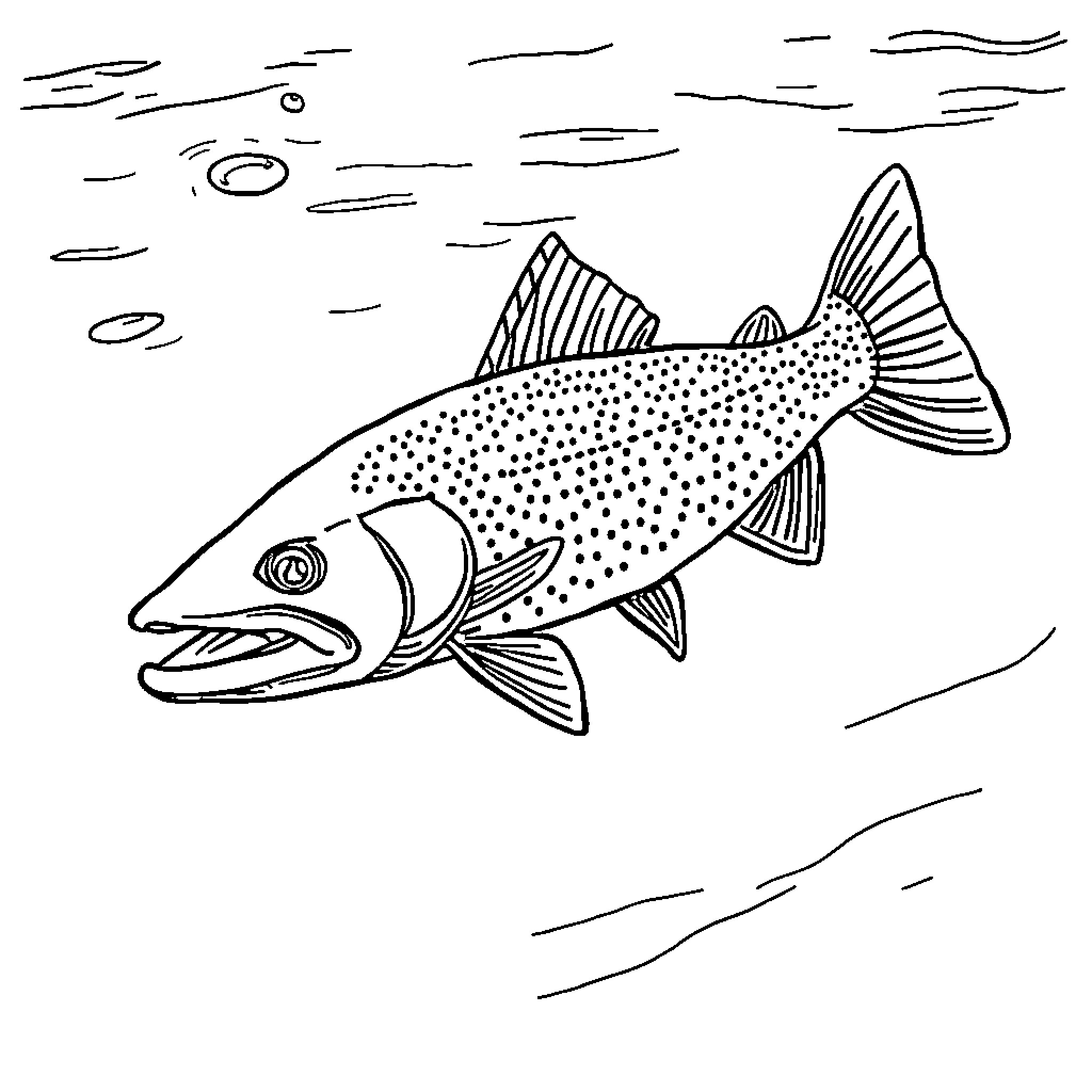 Trout swimming in the water Coloring Page (free black-and-white line drawing printable PDF for all, from beginners to advanced learners, including children, teens, adults, and seniors)