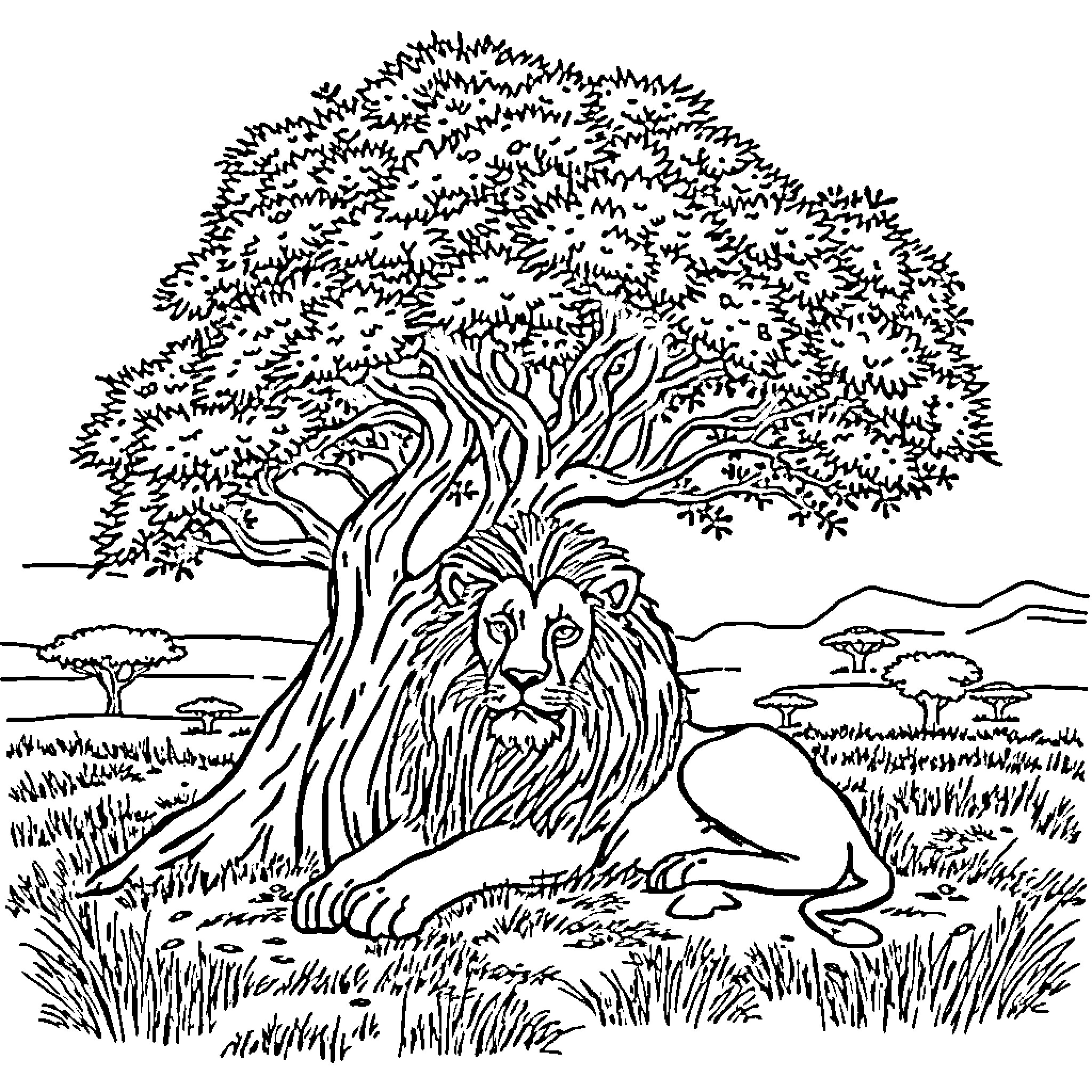Lion resting under a large tree Coloring Page (free black-and-white line drawing printable PDF for all, from beginners to advanced learners, including children, teens, adults, and seniors)