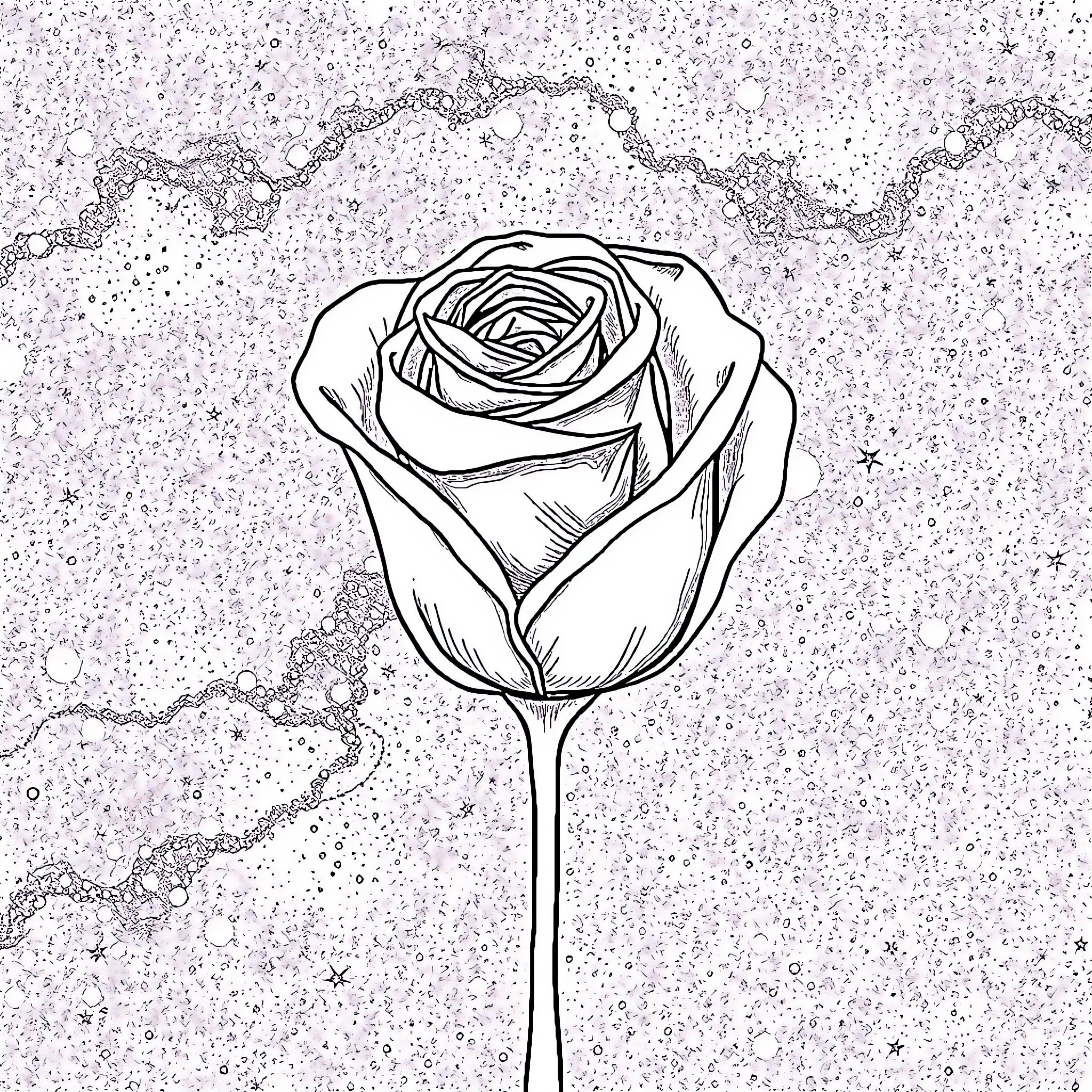 Rose blooming in a starry night Coloring Page (free black-and-white line drawing printable PDF for all, from beginners to advanced learners, including children, teens, adults, and seniors)