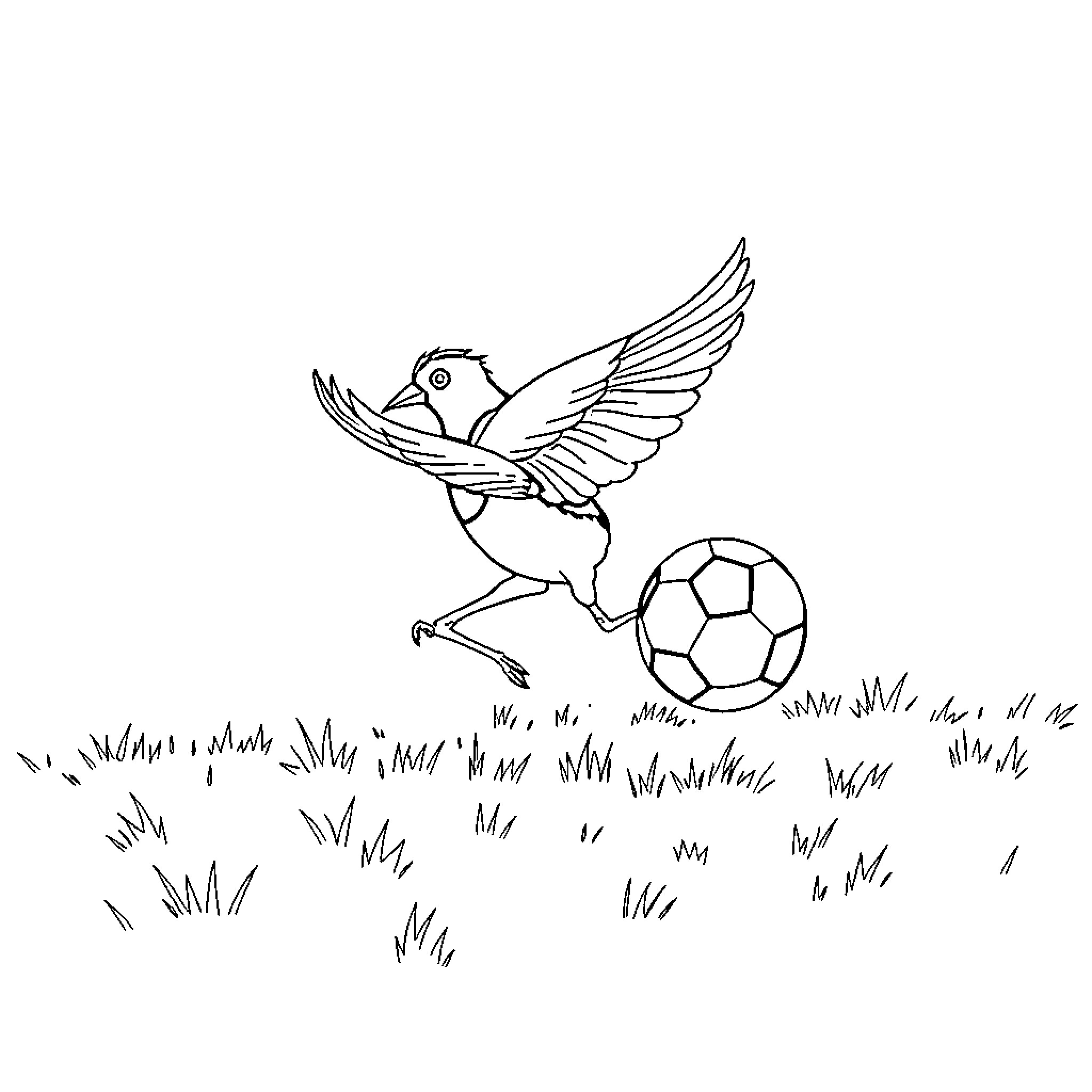 Magpie playing with soccer ball on grassy field Coloring Page (free black-and-white line drawing printable PDF for all, from beginners to advanced learners, including children, teens, adults, and seniors)