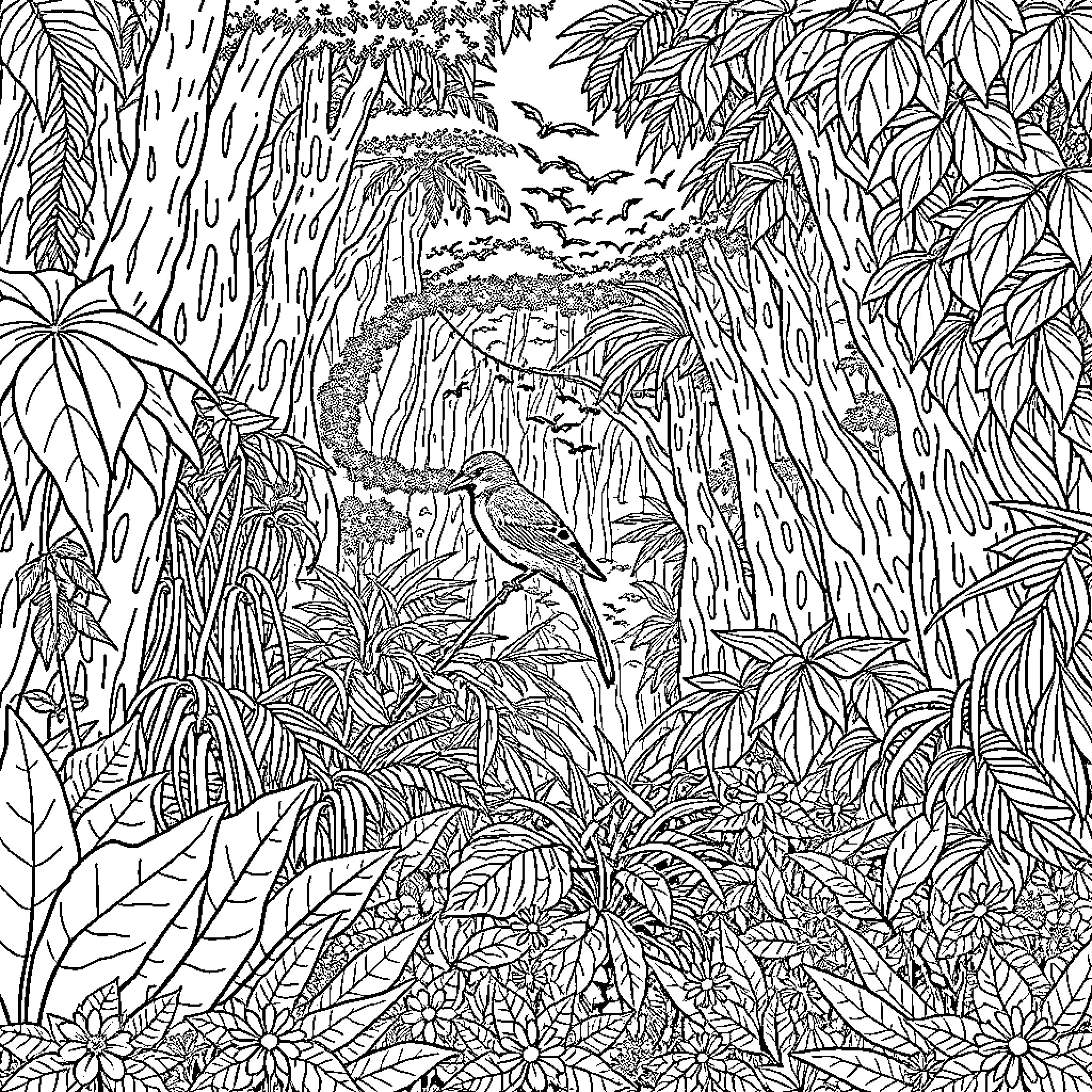 Jungle Exploration: A Detailed Illustration of Nature Coloring Page (free black-and-white line drawing printable PDF for all, from beginners to advanced learners, including children, teens, adults, and seniors)