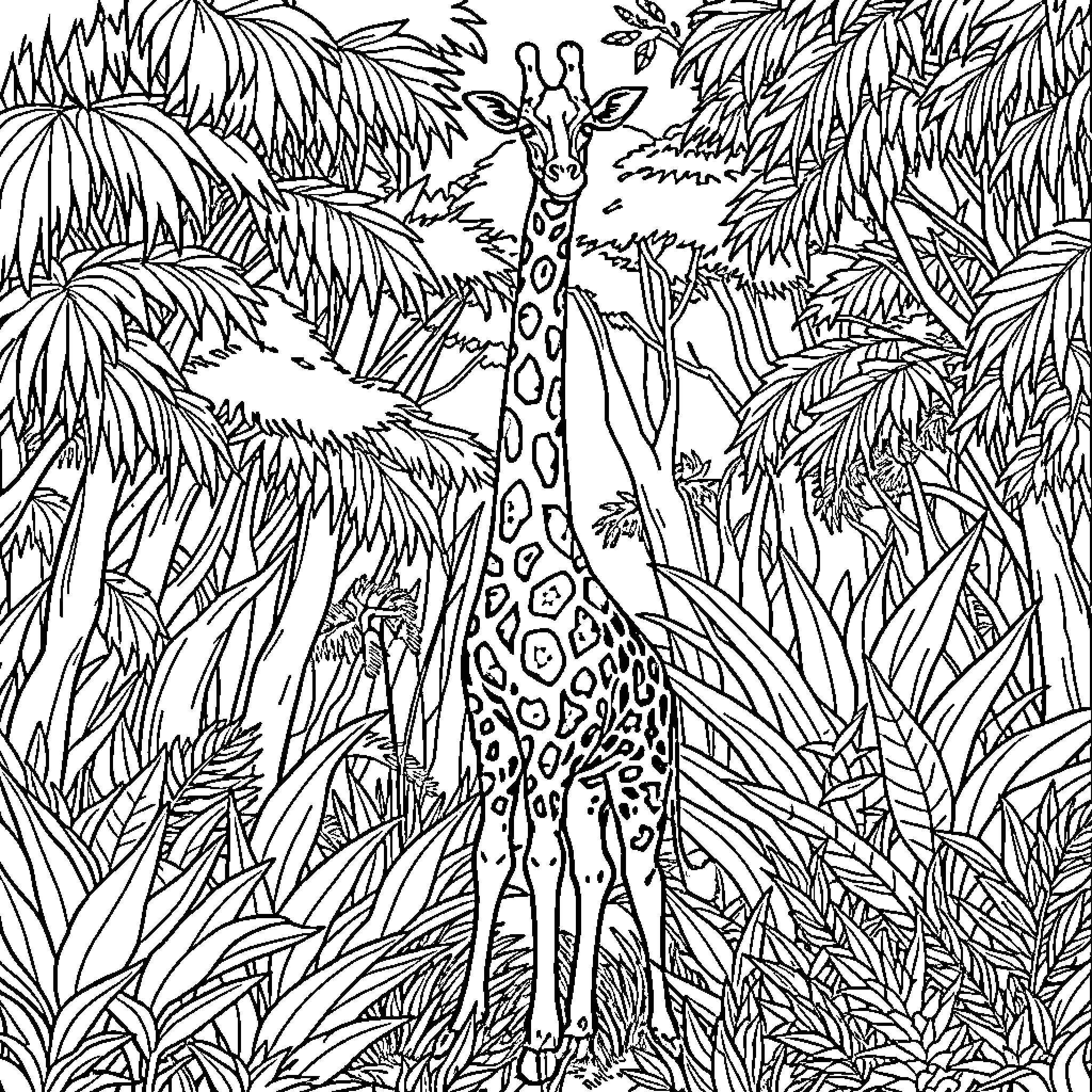Giraffe standing tall amidst lush vegetation Coloring Page (free black-and-white line drawing printable PDF for all, from beginners to advanced learners, including children, teens, adults, and seniors)