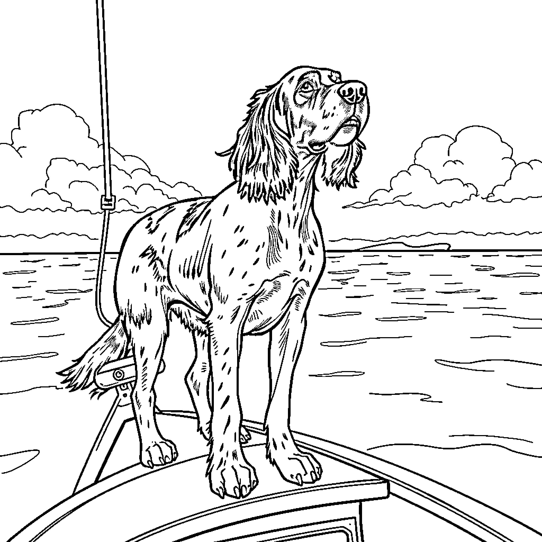 English Setter standing proudly on a boat Coloring Page (free black-and-white line drawing printable PDF for all, from beginners to advanced learners, including children, teens, adults, and seniors)