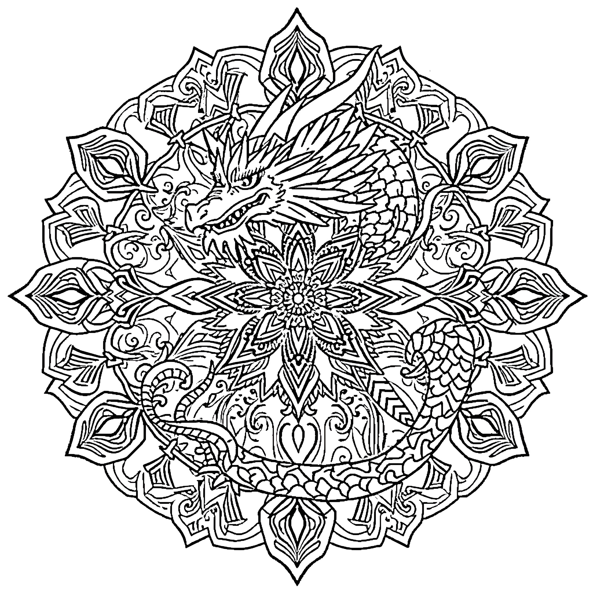 Dragon Mandala with Intricate Floral Patterns Coloring Page (free black-and-white line drawing printable PDF for all, from beginners to advanced learners, including children, teens, adults, and seniors)