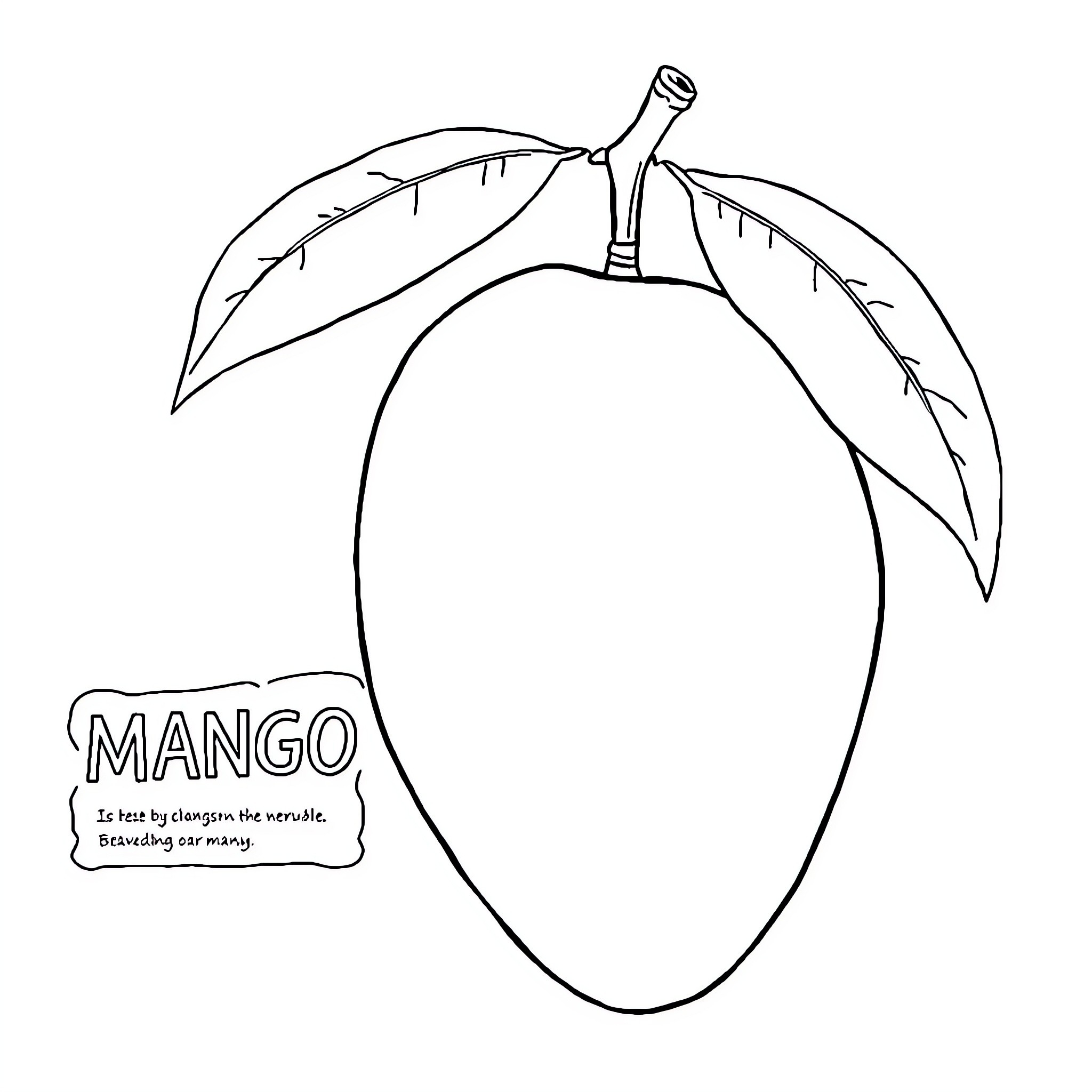 Mango with stylized leaves and label Coloring Page (free black-and-white line drawing printable PDF for all, from beginners to advanced learners, including children, teens, adults, and seniors)