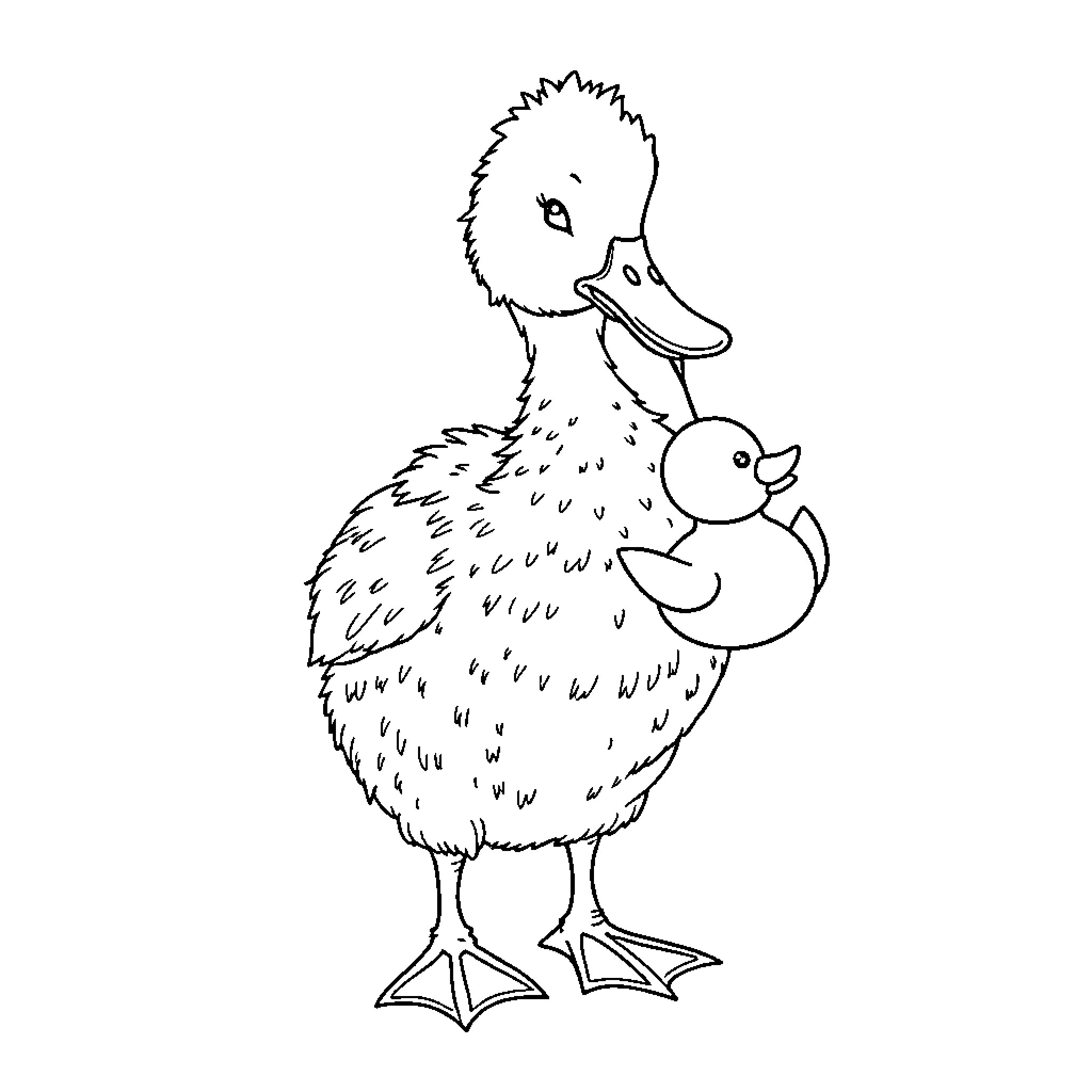 Duck and its duckling companion Coloring Page (free black-and-white line drawing printable PDF for all, from beginners to advanced learners, including children, teens, adults, and seniors)