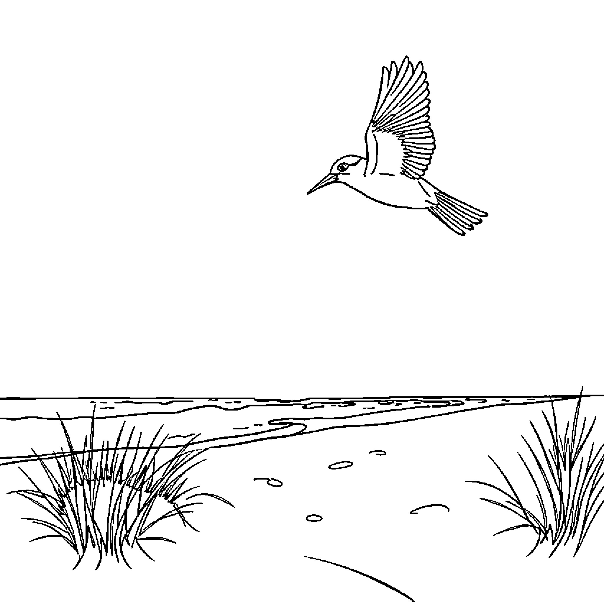 Bird flying over a grassy landscape Coloring Page (free black-and-white line drawing printable PDF for all, from beginners to advanced learners, including children, teens, adults, and seniors)