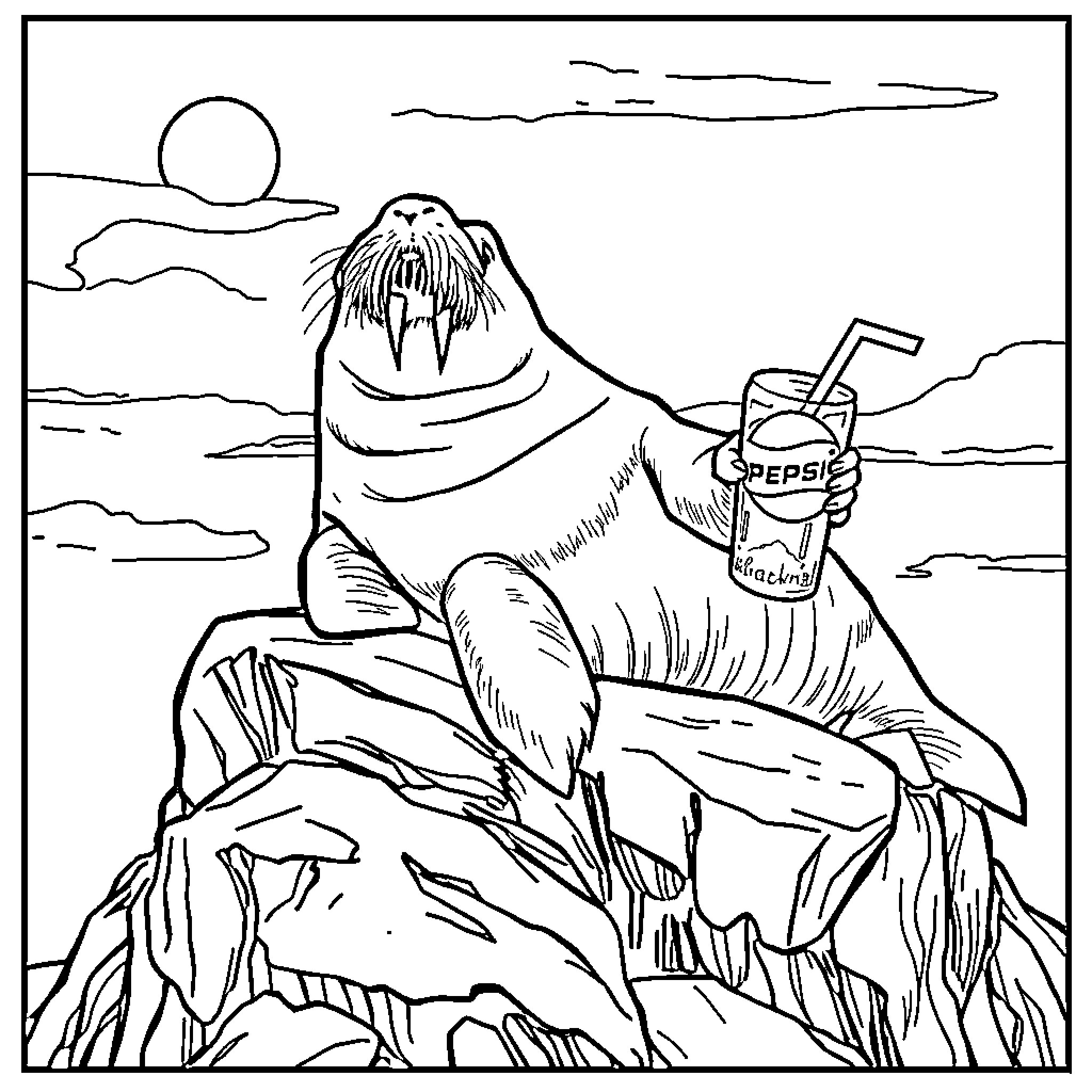 Walrus enjoying a refreshing drink on the rocks Coloring Page (free black-and-white line drawing printable PDF for all, from beginners to advanced learners, including children, teens, adults, and seniors)
