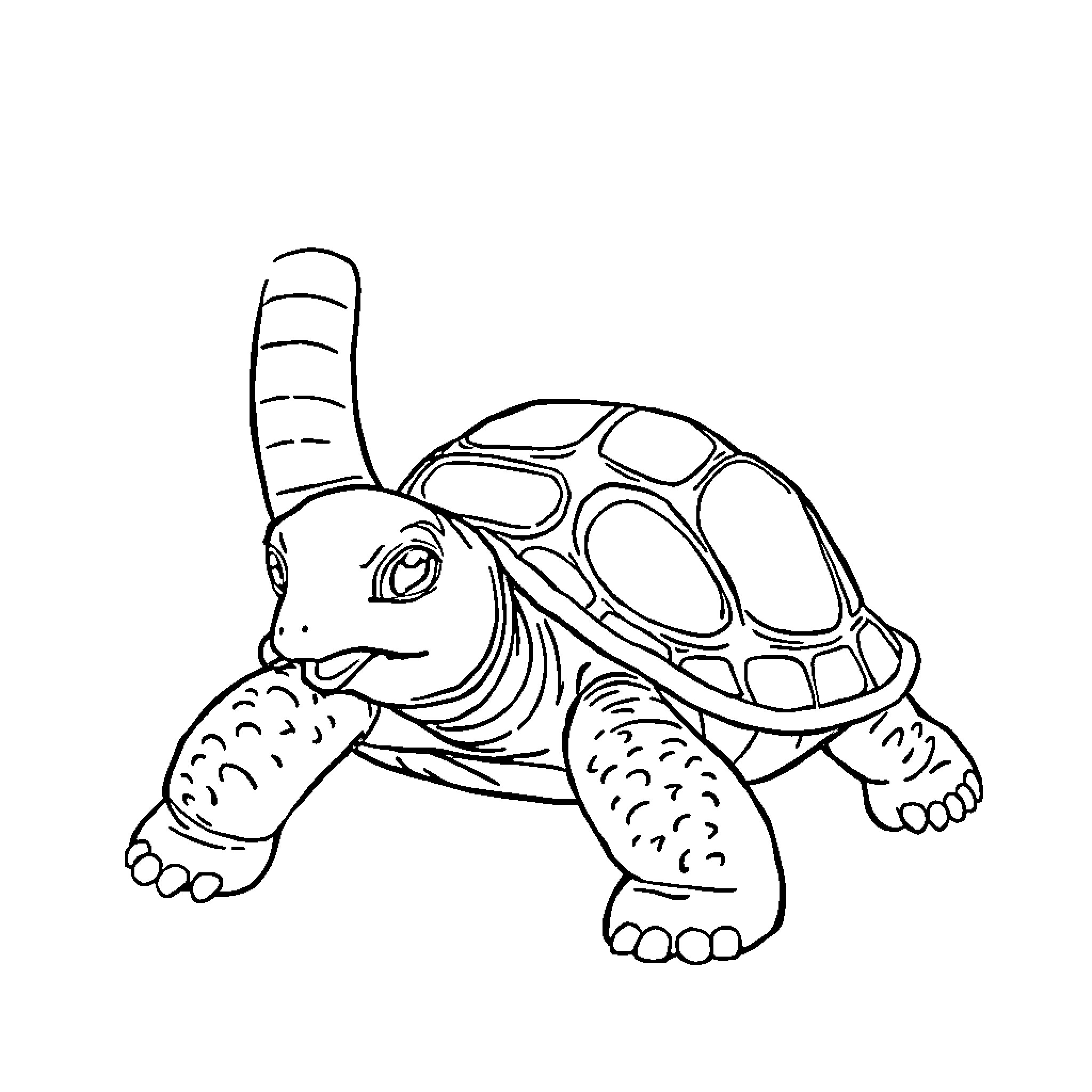 Turtle drawing with expression Coloring Page (free black-and-white line drawing printable PDF for all, from beginners to advanced learners, including children, teens, adults, and seniors)