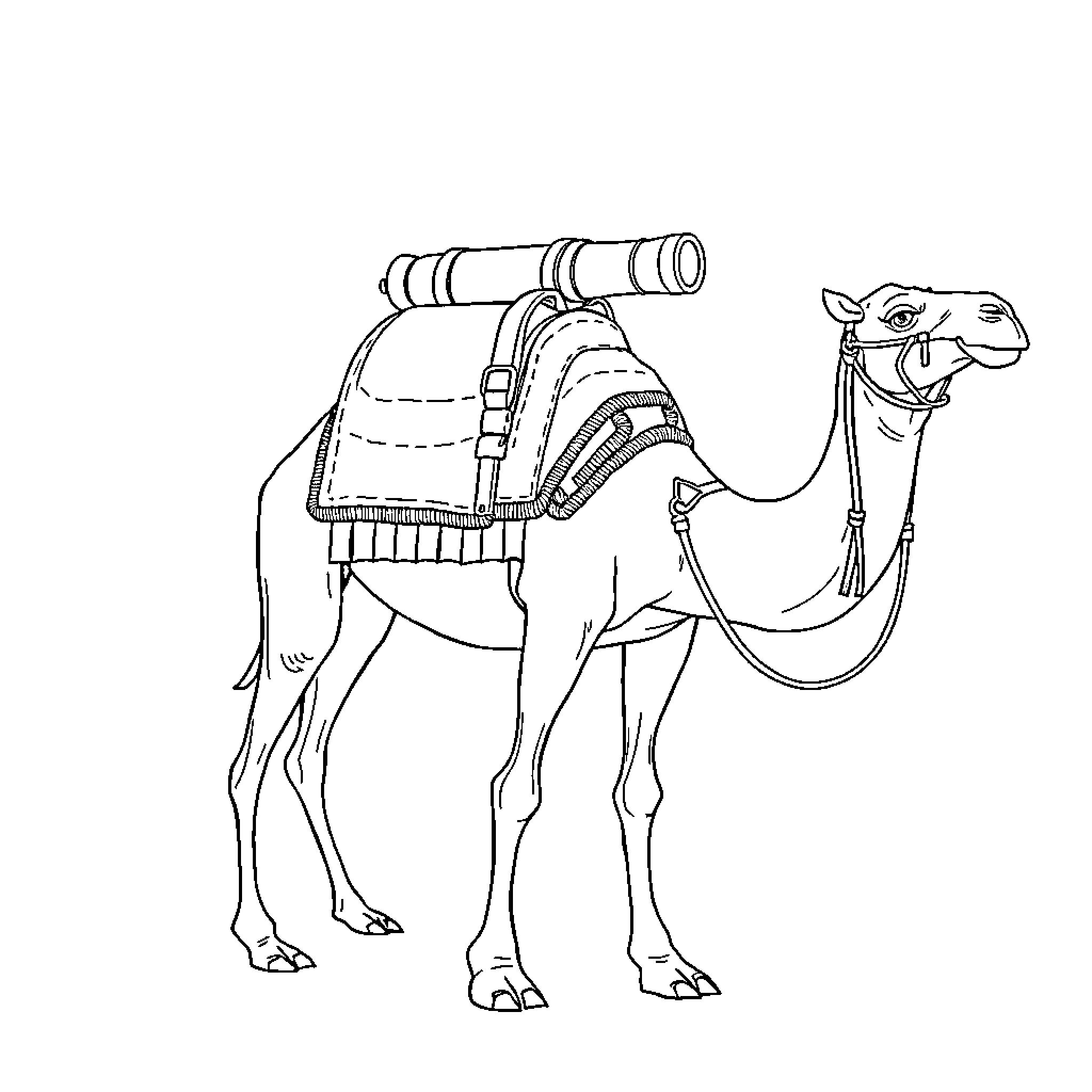Cannon-Equipped Camel Exploring the Landscape Coloring Page (free black-and-white line drawing printable PDF for all, from beginners to advanced learners, including children, teens, adults, and seniors)