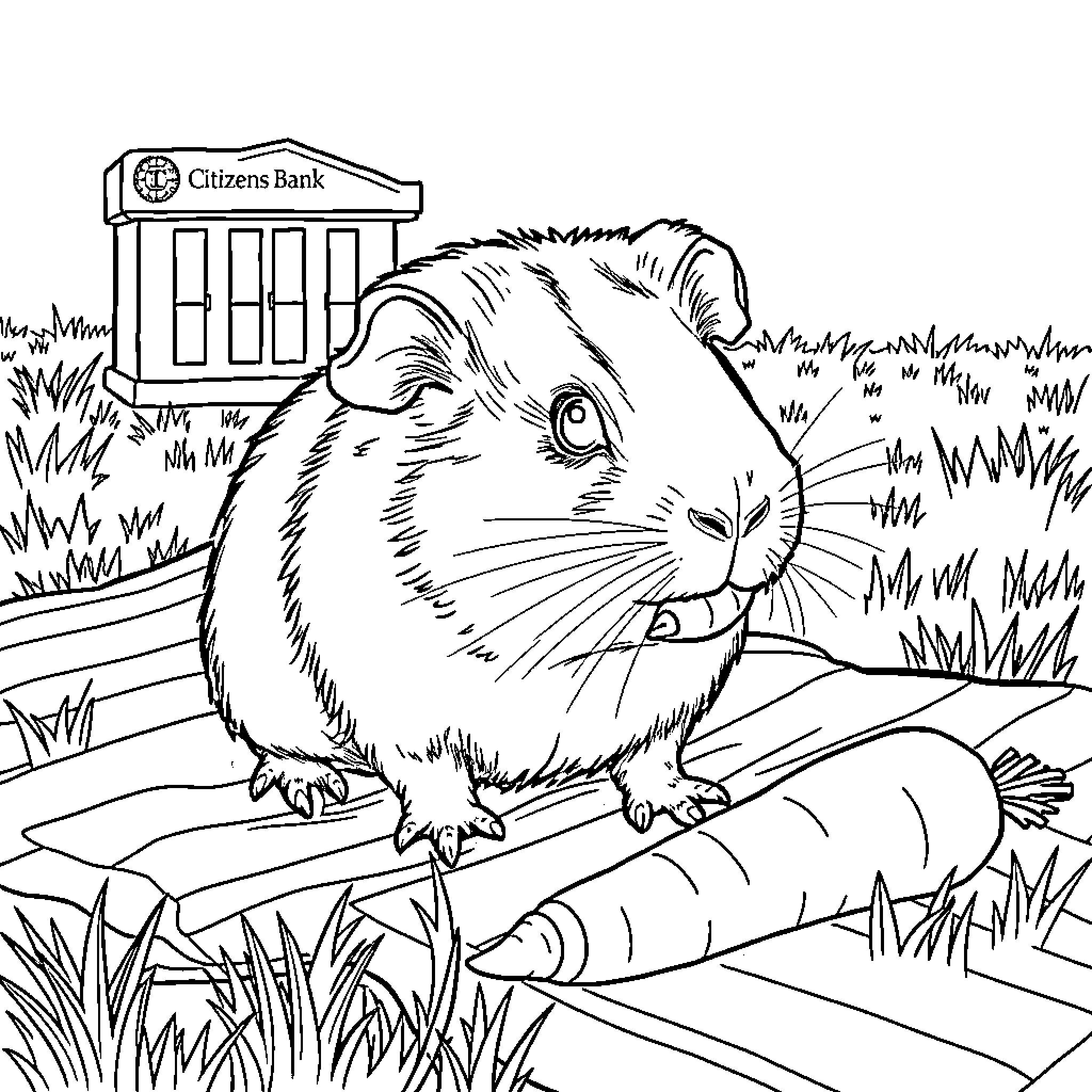 Guinea Pig Enjoying Carrots Near Bank Coloring Page (free black-and-white line drawing printable PDF for all, from beginners to advanced learners, including children, teens, adults, and seniors)